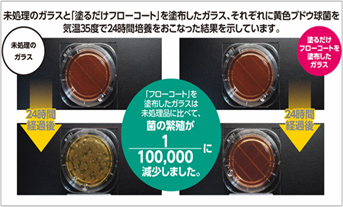 フローコート 抗菌力試験結果