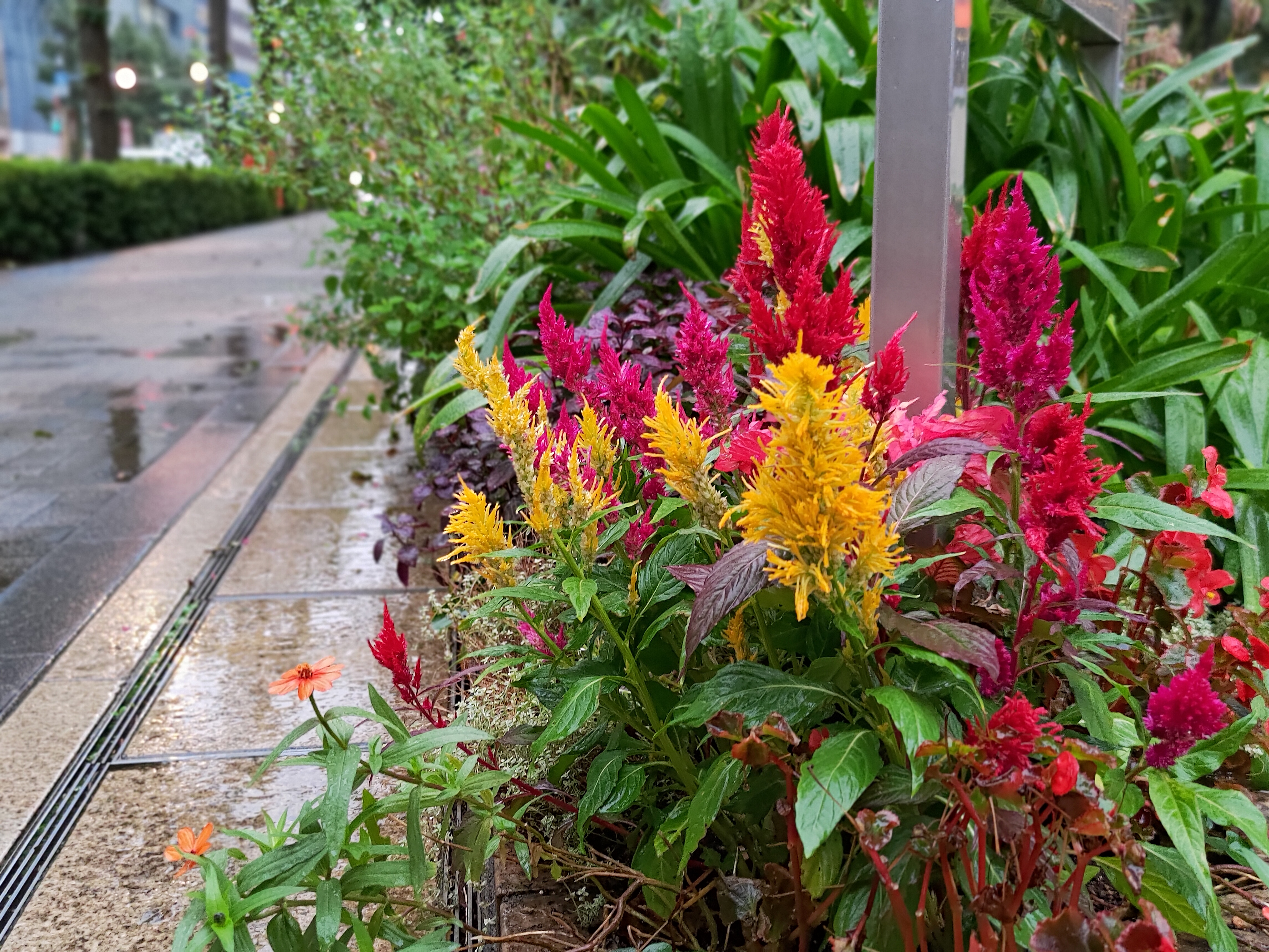 ポートレートモード