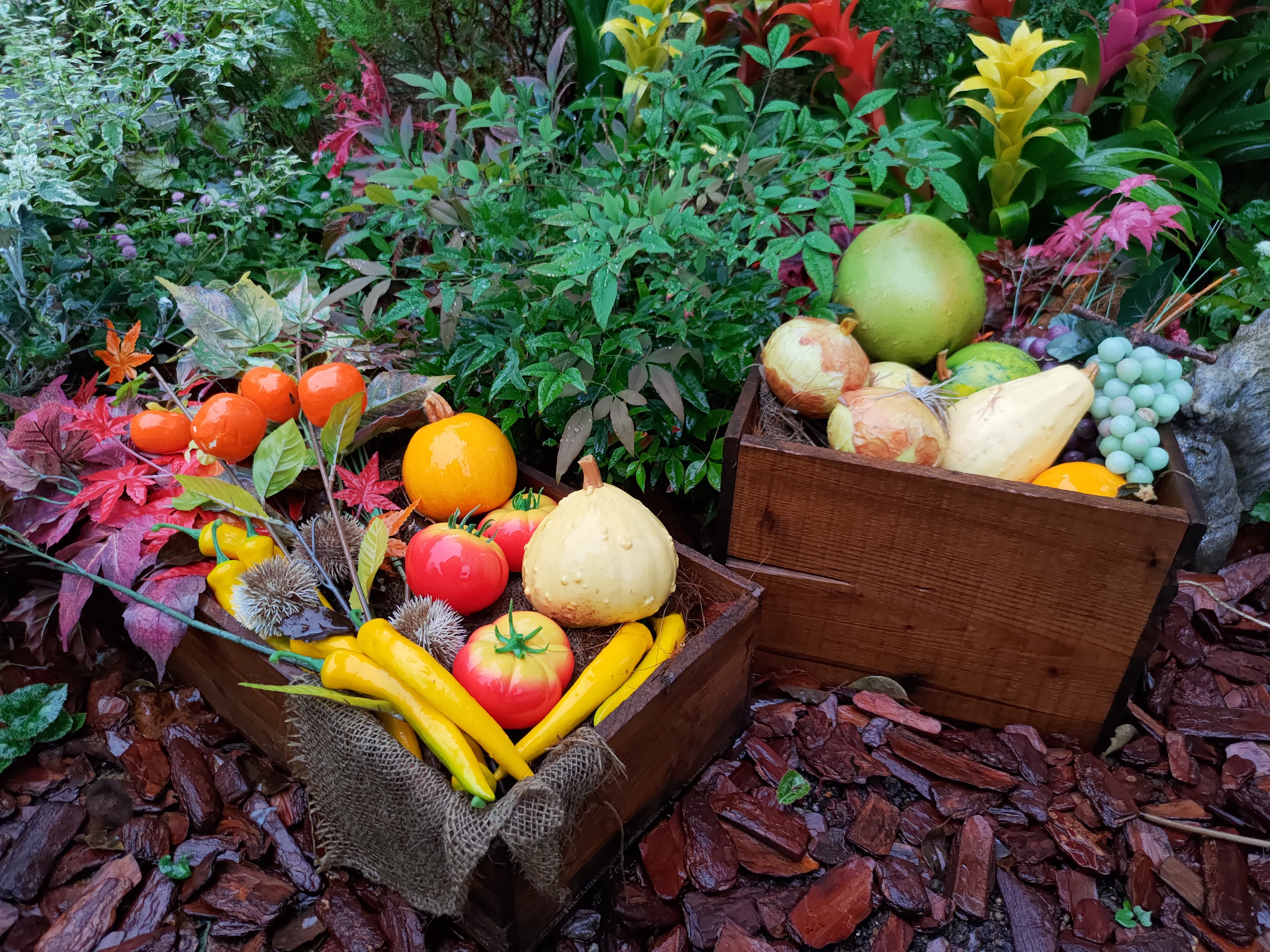 雨天だが、色鮮やかに撮影でき、かえってみずみずしく感じる