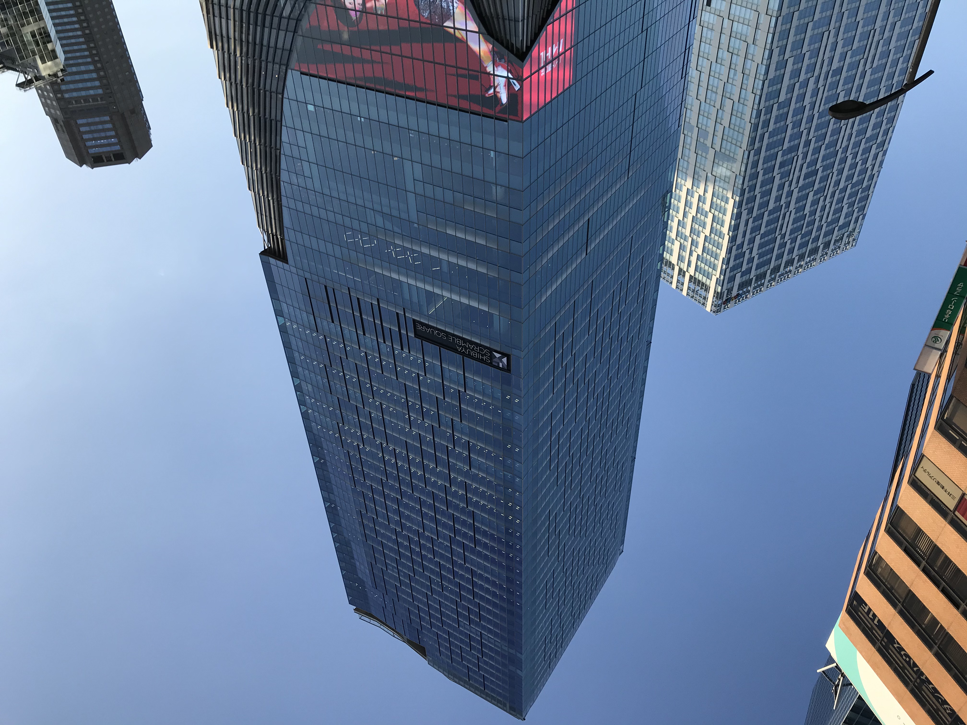 iPhone 7。拡大しなければ問題ない画質ではあるが、拡大するとディティールの差は大きい