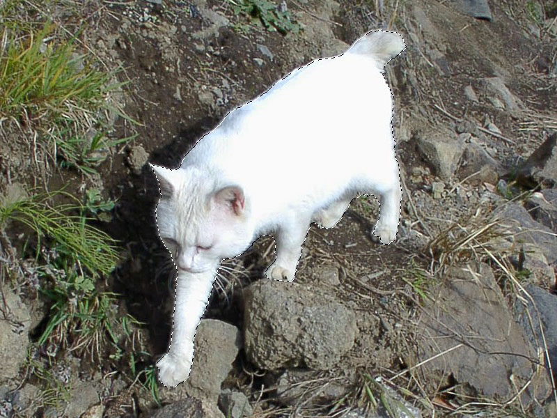 すると一発で範囲選択完了