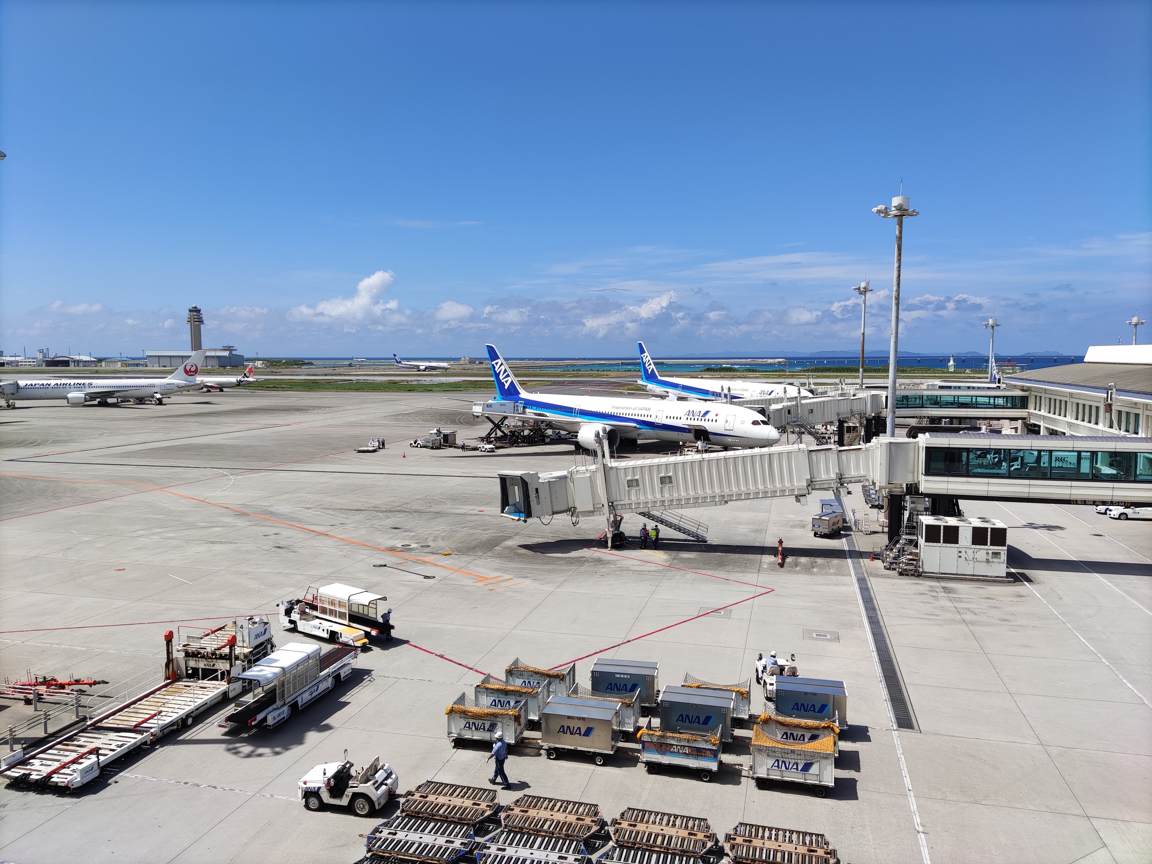 メインカメラで撮影。全体的にクリアに撮影できている