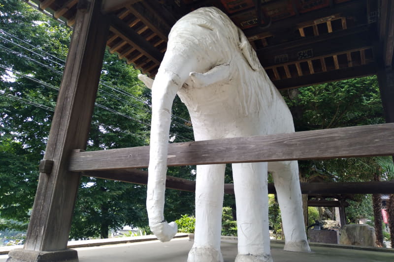 Rakuten Miniでは、白いところがきちんと白く表現できている。ただ、若干白飛びしてしまっているのが残念