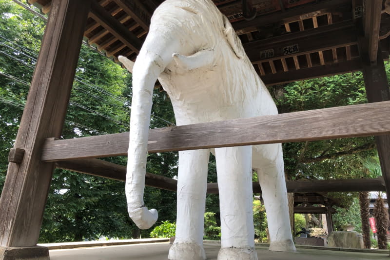 iPhone Xではなぜか黄色っぽく撮れてしまった。とはいえ、明部も暗部もRakuten Miniに比べれば潰れていない