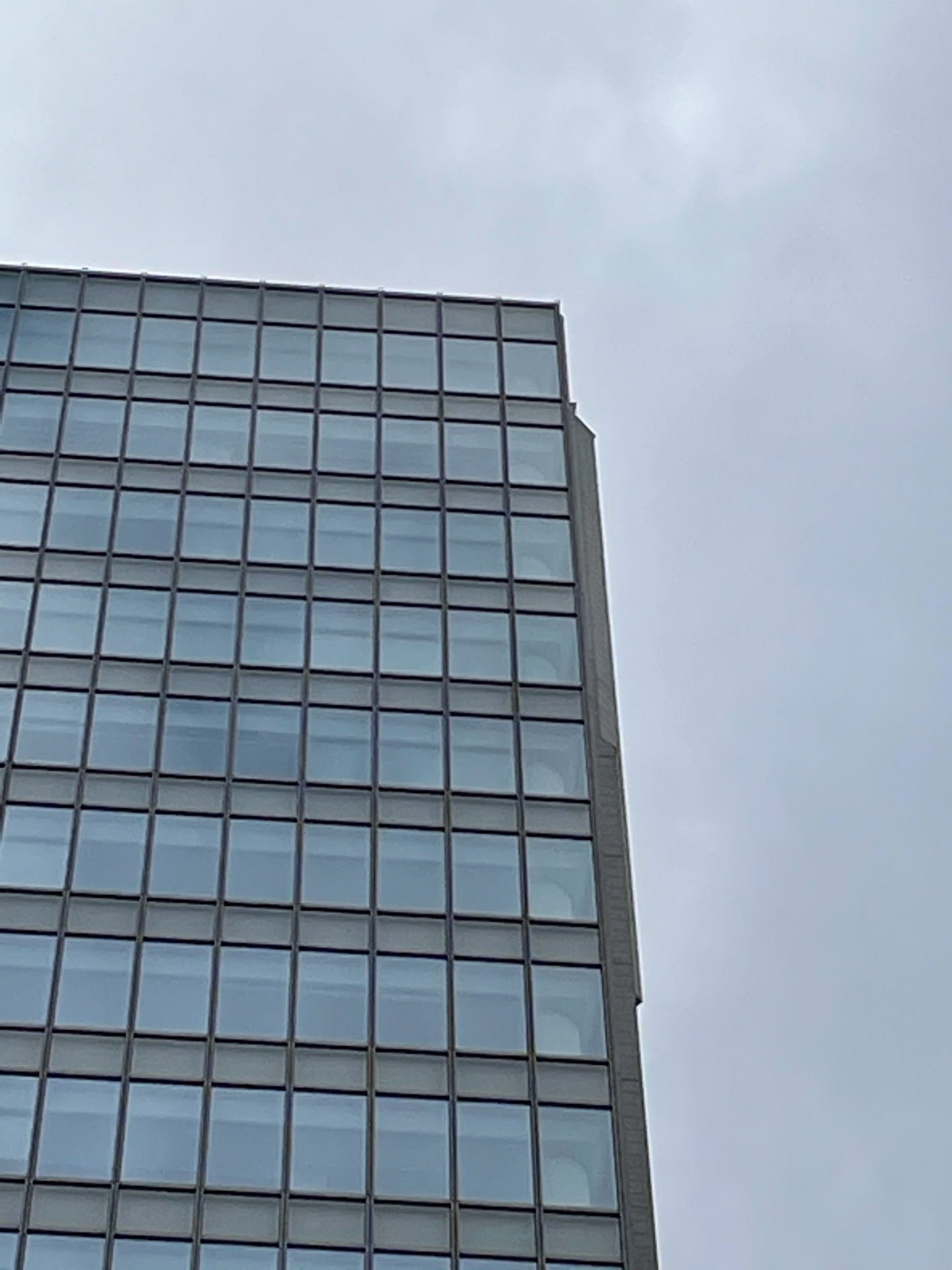 最大ズーム（×5）で撮影