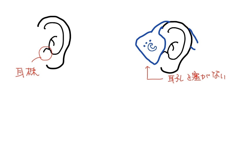 正しく装着すれば、耳孔が隠れることはない。自転車乗りにもオススメしたいタイプだ
