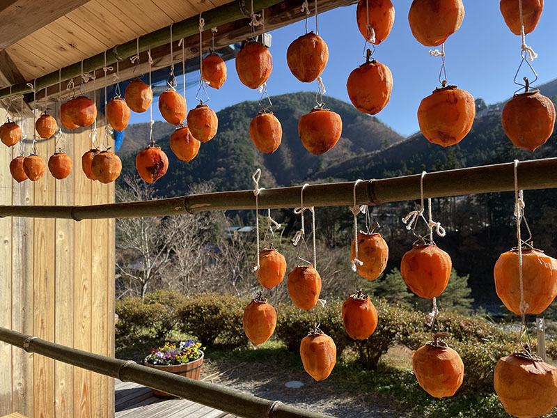 干し柿と紅葉。肉眼で見ると暖色がもう少し地味な感じがしたが、写真では少々「盛られている」感じ。だが、「こういうふうに写って欲しい」という色ではある