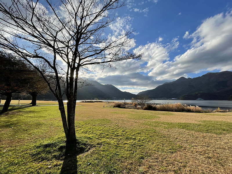 逆光で樹木やススキを撮影。良好なコントラストでスッキリした描写になった