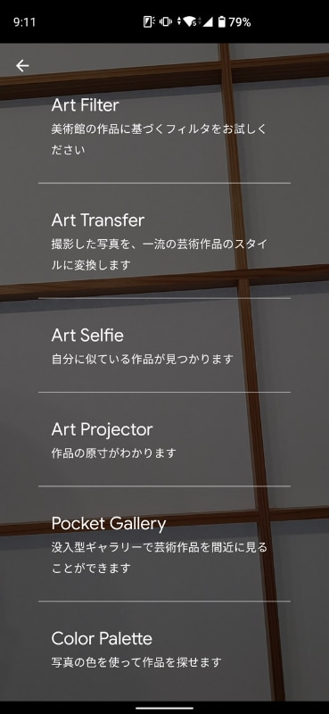 自分の姿や風景を著名画家の作風に変換したりできるカメラ機能も用意