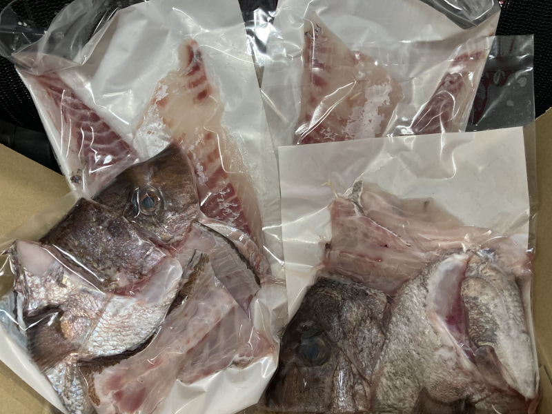 返礼品の一例。先週は5日間晩御飯は鯛のお刺身でした。今週からは鯛汁と鯛めし週間に入ります
