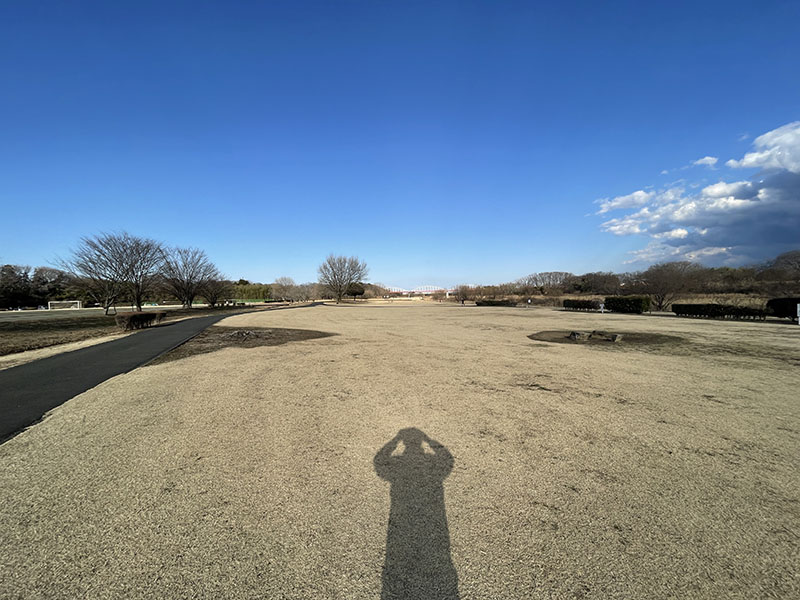 iPhone 12 Pro Maxの0.5×で撮ったもの。超広角ぅ〜♪