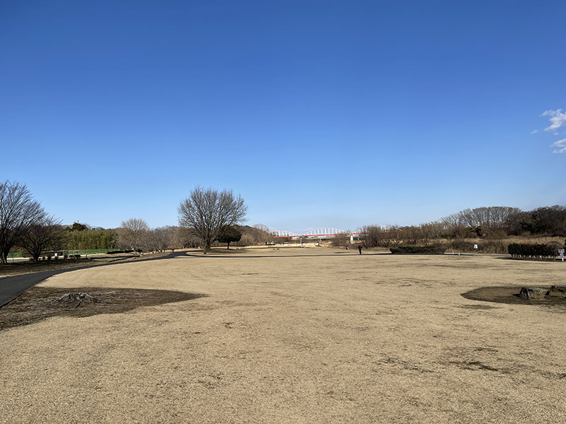 iPhone 12 Pro Maxの1×撮ったもの。肉眼で感じられる風景よりちょっと広い範囲が写っているという感じ