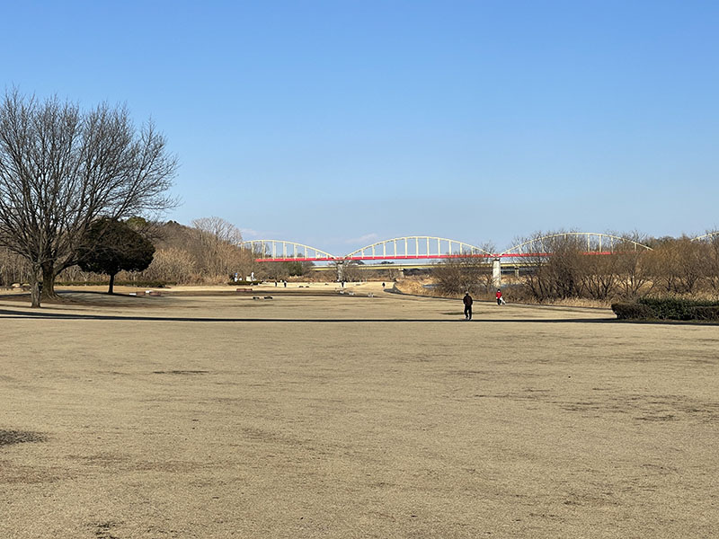 iPhone 12 Pro Maxの2.5×撮ったもの。iPhone 12 Pro Maxの光学ズーム最大倍率となる