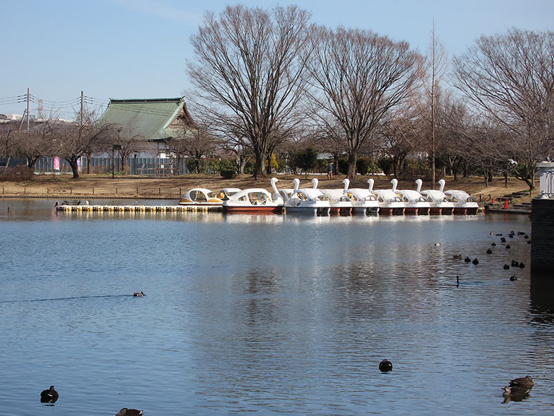 遠くのスワンボートを撮影。距離は50〜60mくらいだろうか。9.6倍（焦点距離800mm:デジタルズーム）で撮れば、ボートに誰が乗っているかまでわかりそう