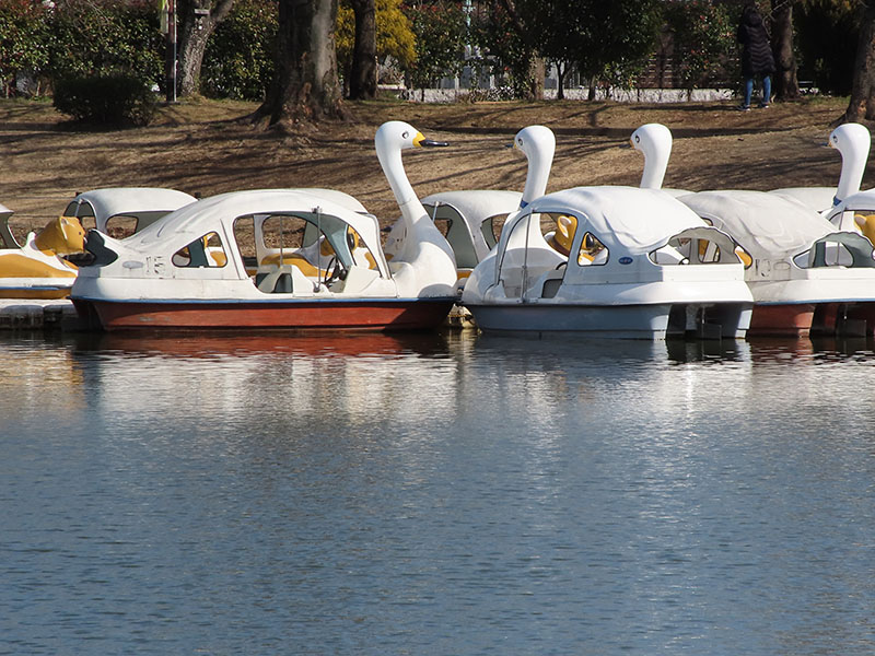 遠くのスワンボートを撮影。距離は50〜60mくらいだろうか。9.6倍（焦点距離800mm:デジタルズーム）で撮れば、ボートに誰が乗っているかまでわかりそう