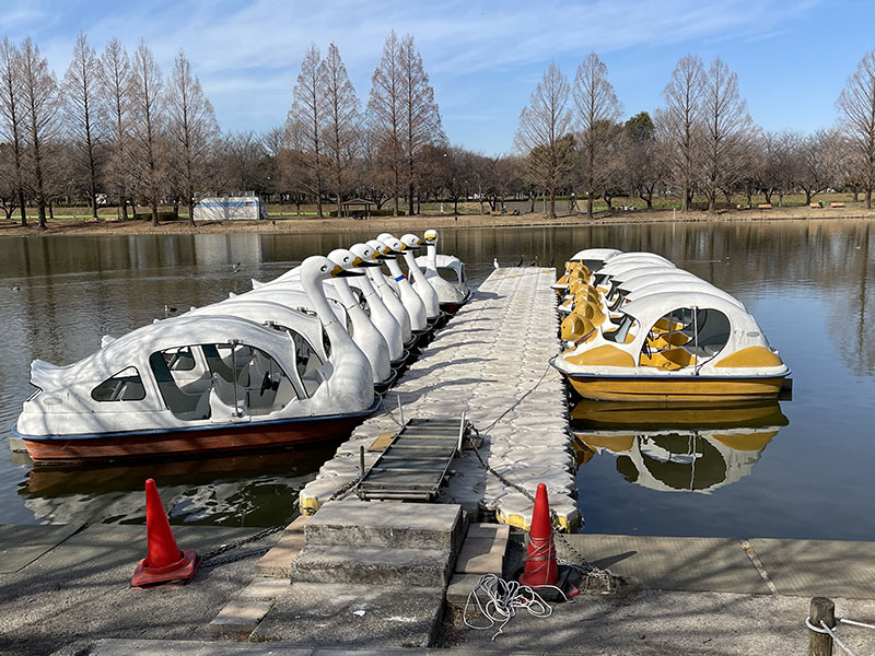 スワンボードが係留してある桟橋。桟橋の先にいる鳥を狙ってみた