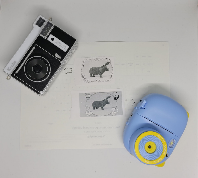 心持ち”子豚のトイカメラ”（右下）の方がコントラストが綺麗だ