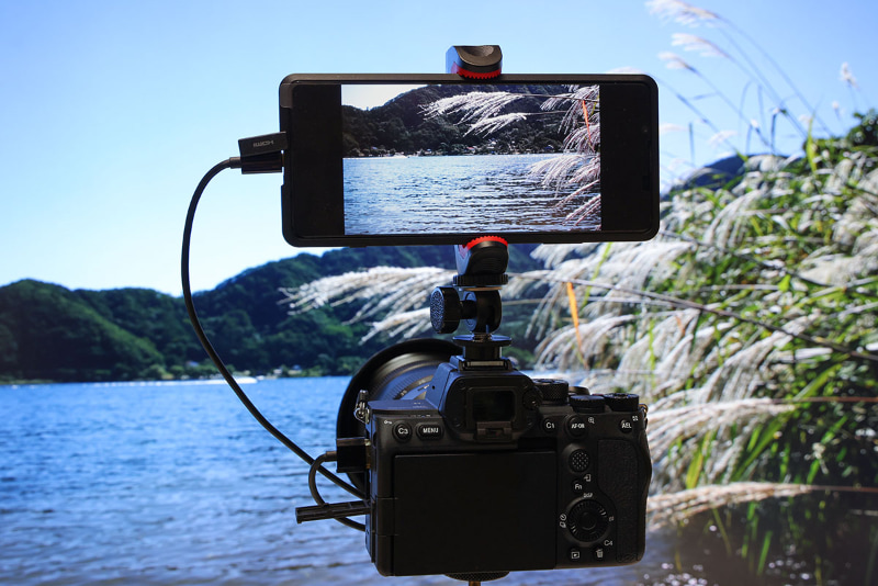 デジタルカメラなどの外付けモニターとして利用できる。拡大して映像の細部を確認することも可能だ。