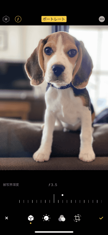 ライティング効果やボケの度合いを、あとで変更できるのも便利