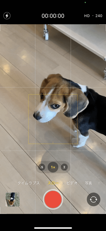 iPhoneは「ビデオ」「ポートレート」「スロー」などの撮影モードを素早く設定できる