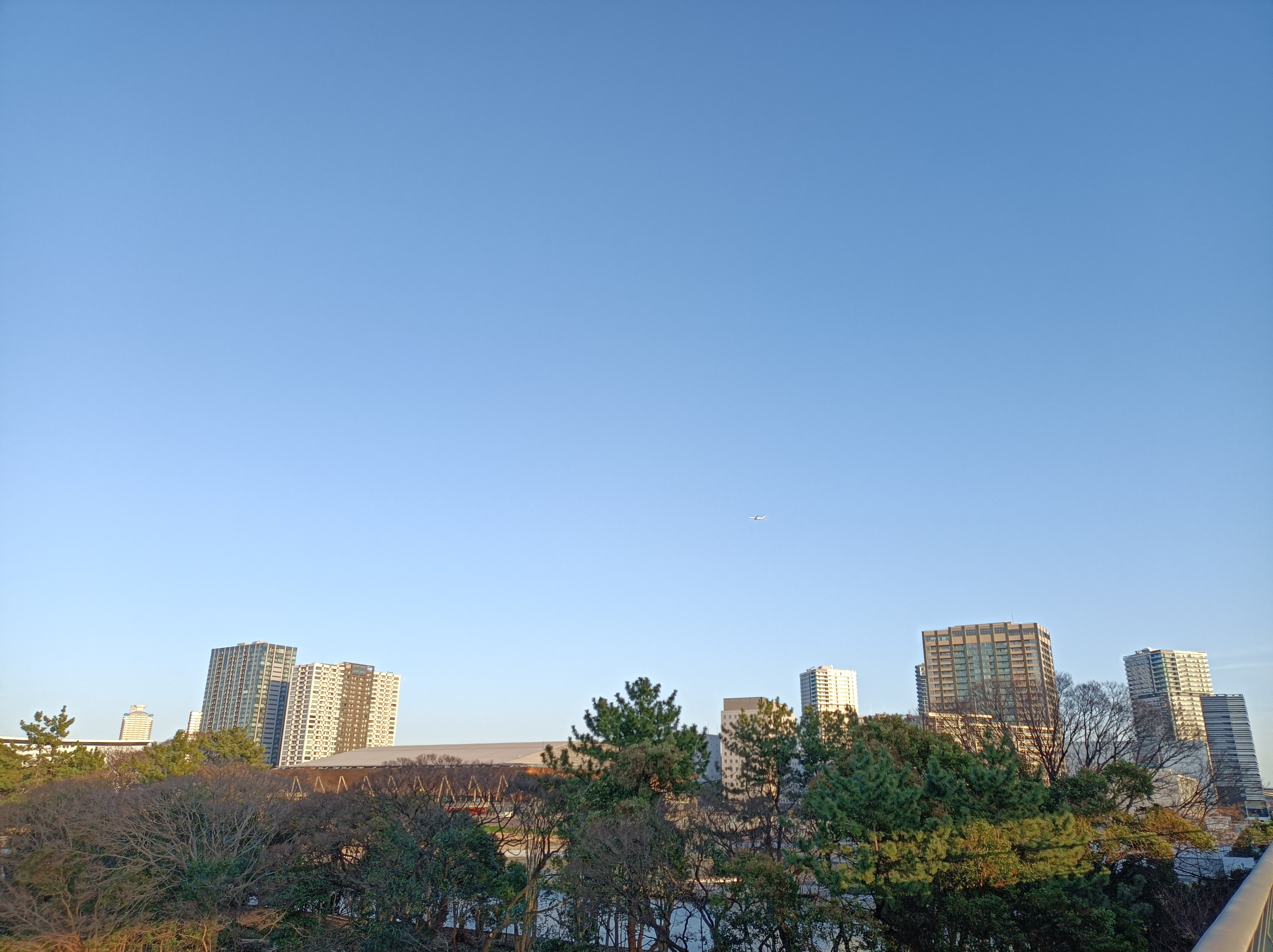 標準モードで撮影