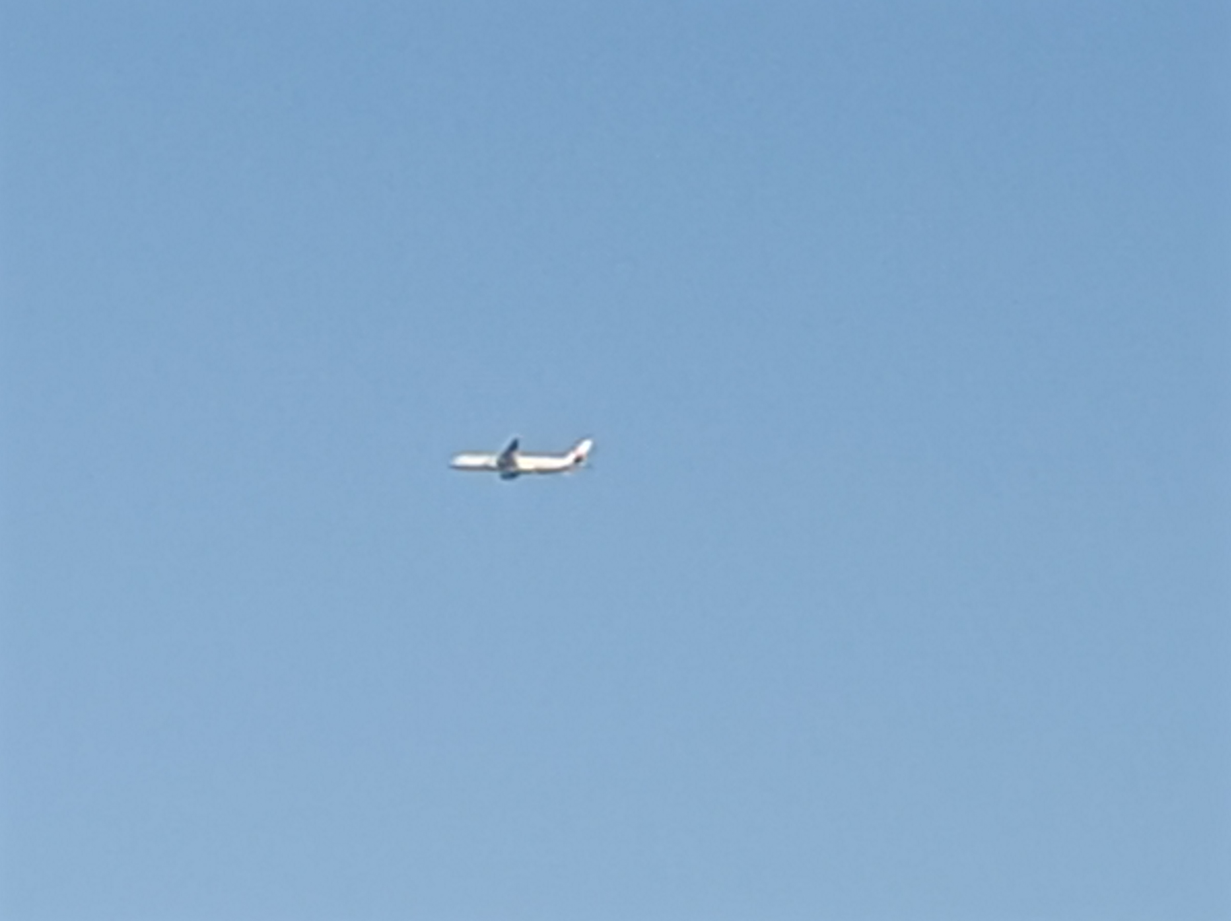 最大倍率（×10）で撮影