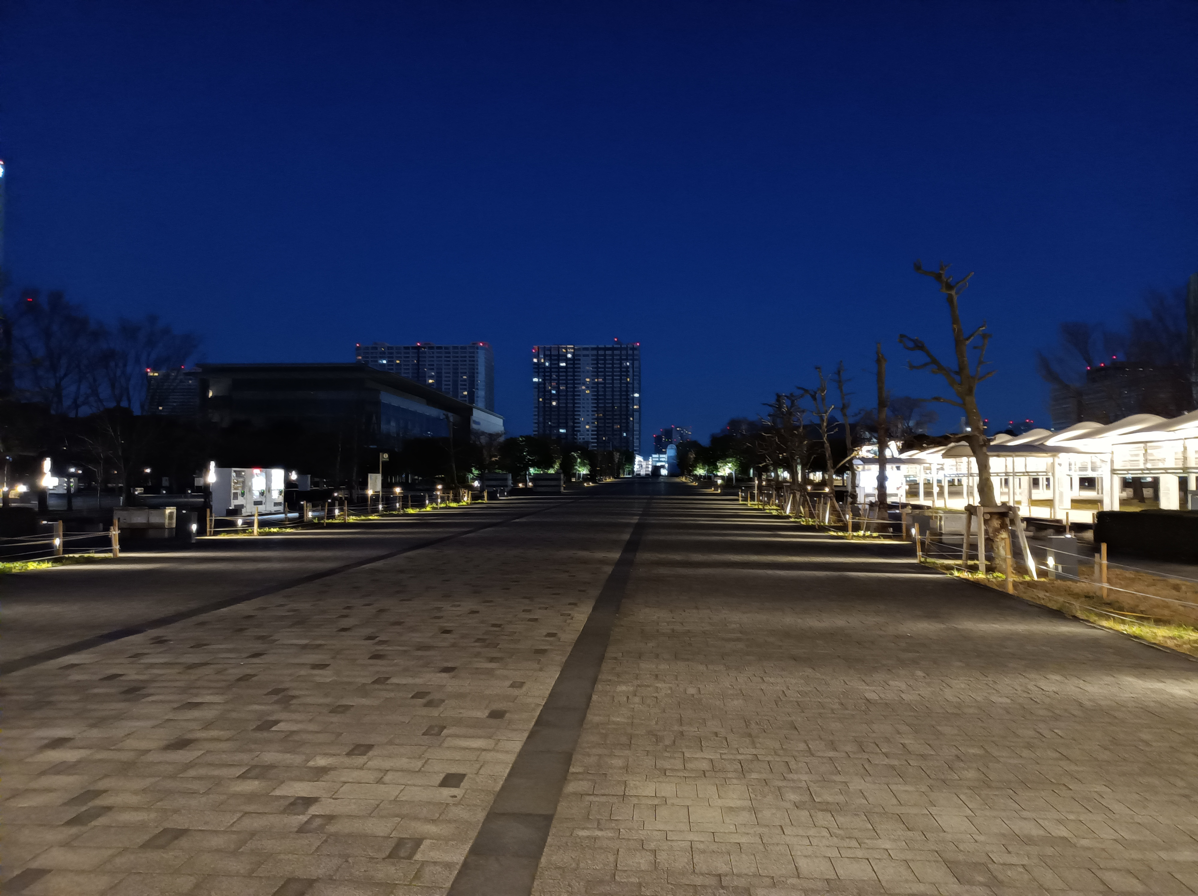 標準モードで撮影