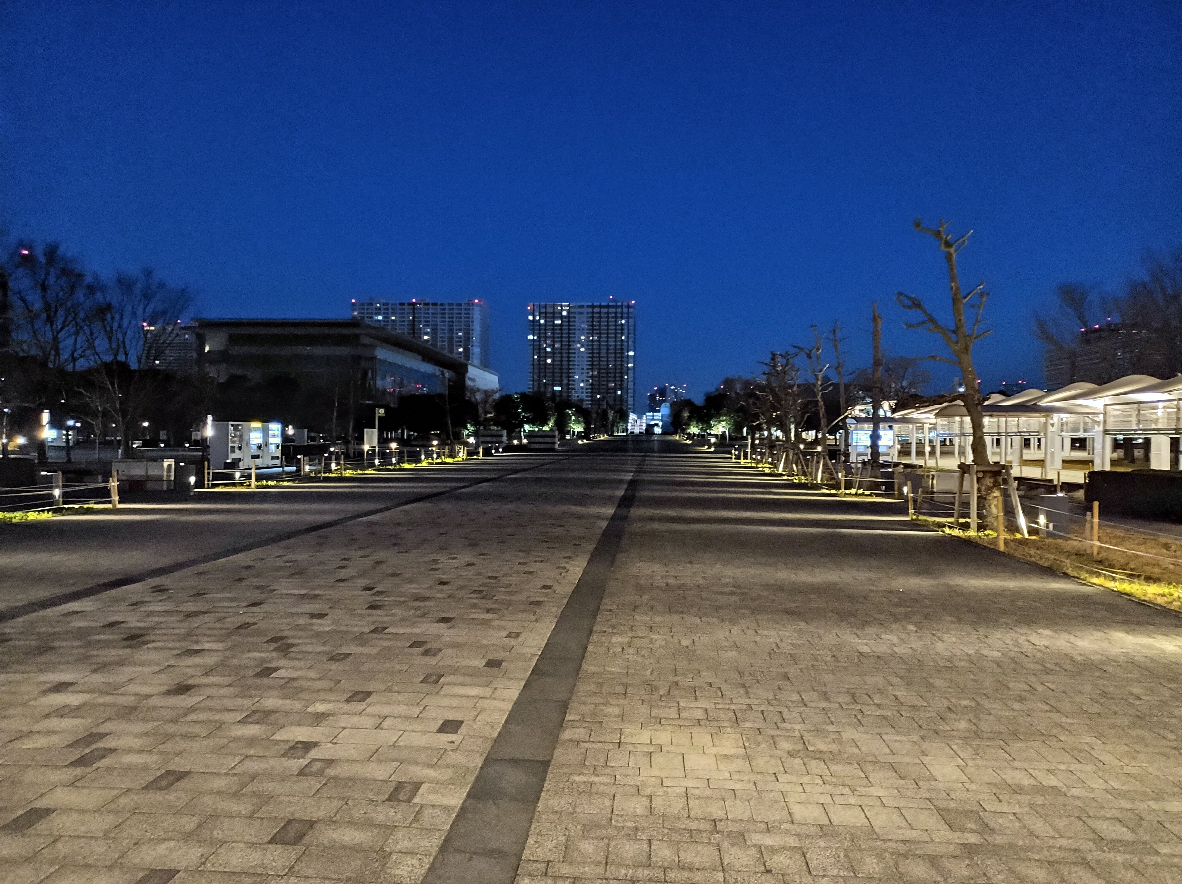 夜景モードで撮影