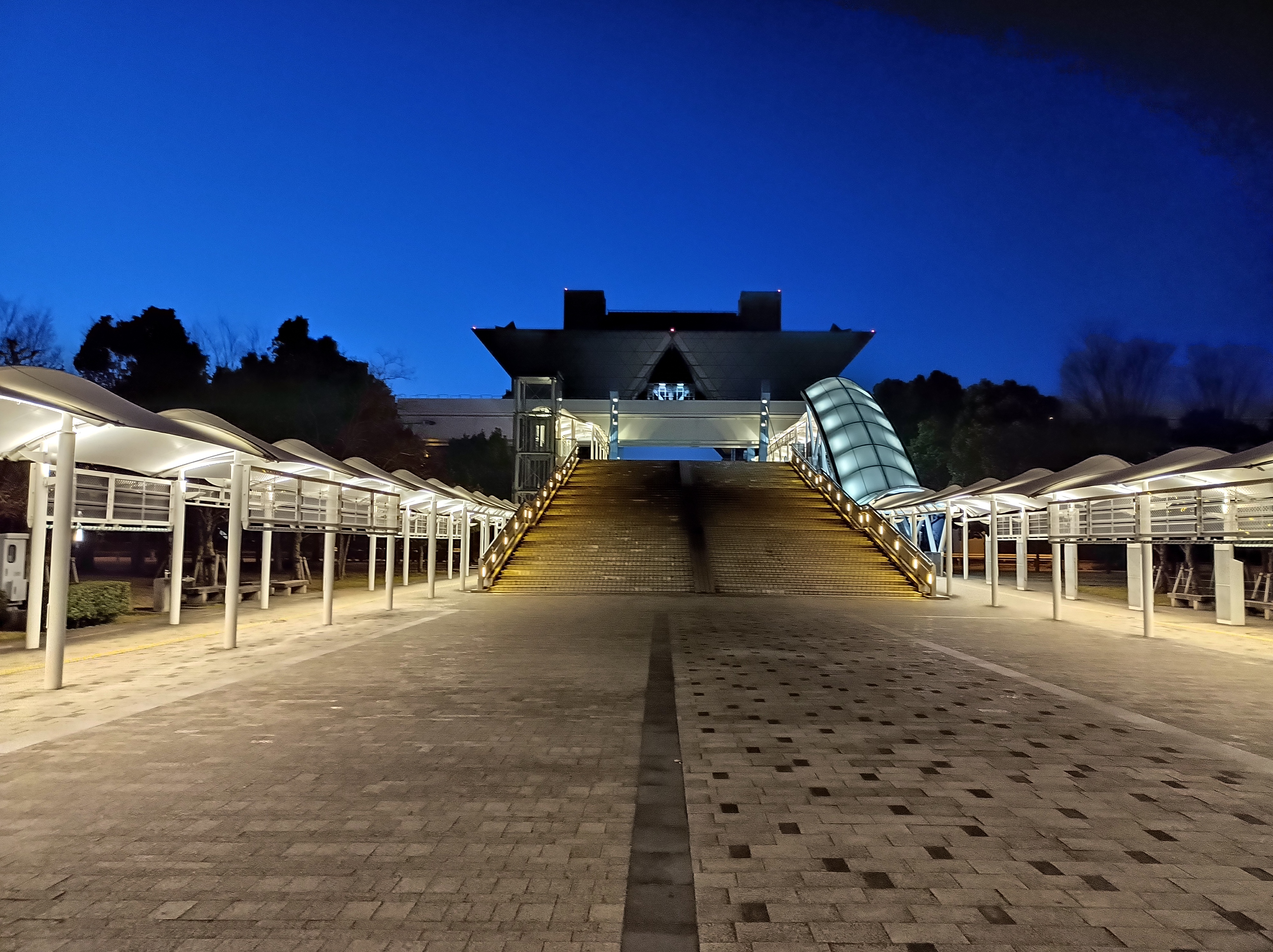 夜景モードで撮影