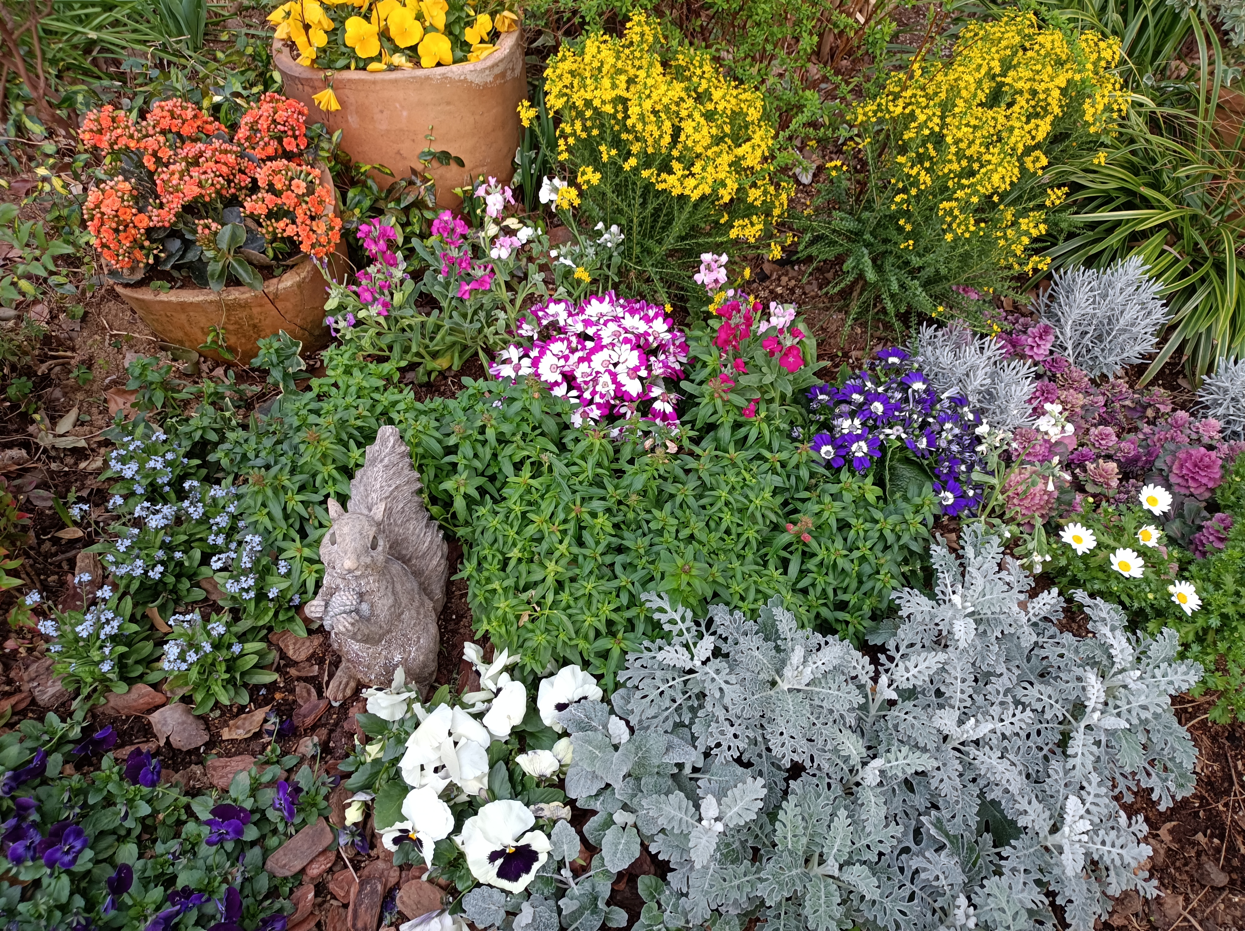 標準モードで撮影