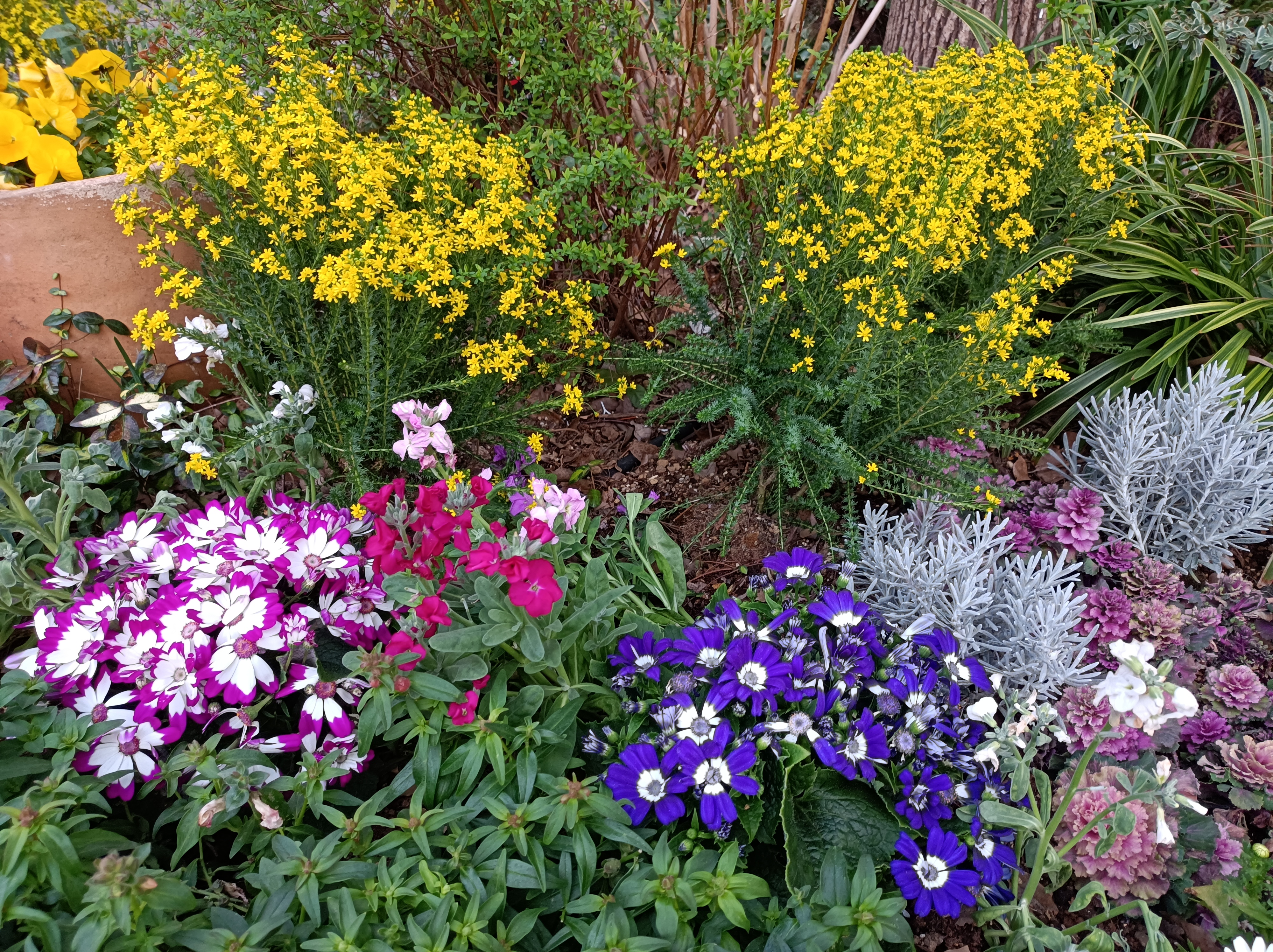 標準モードで撮影