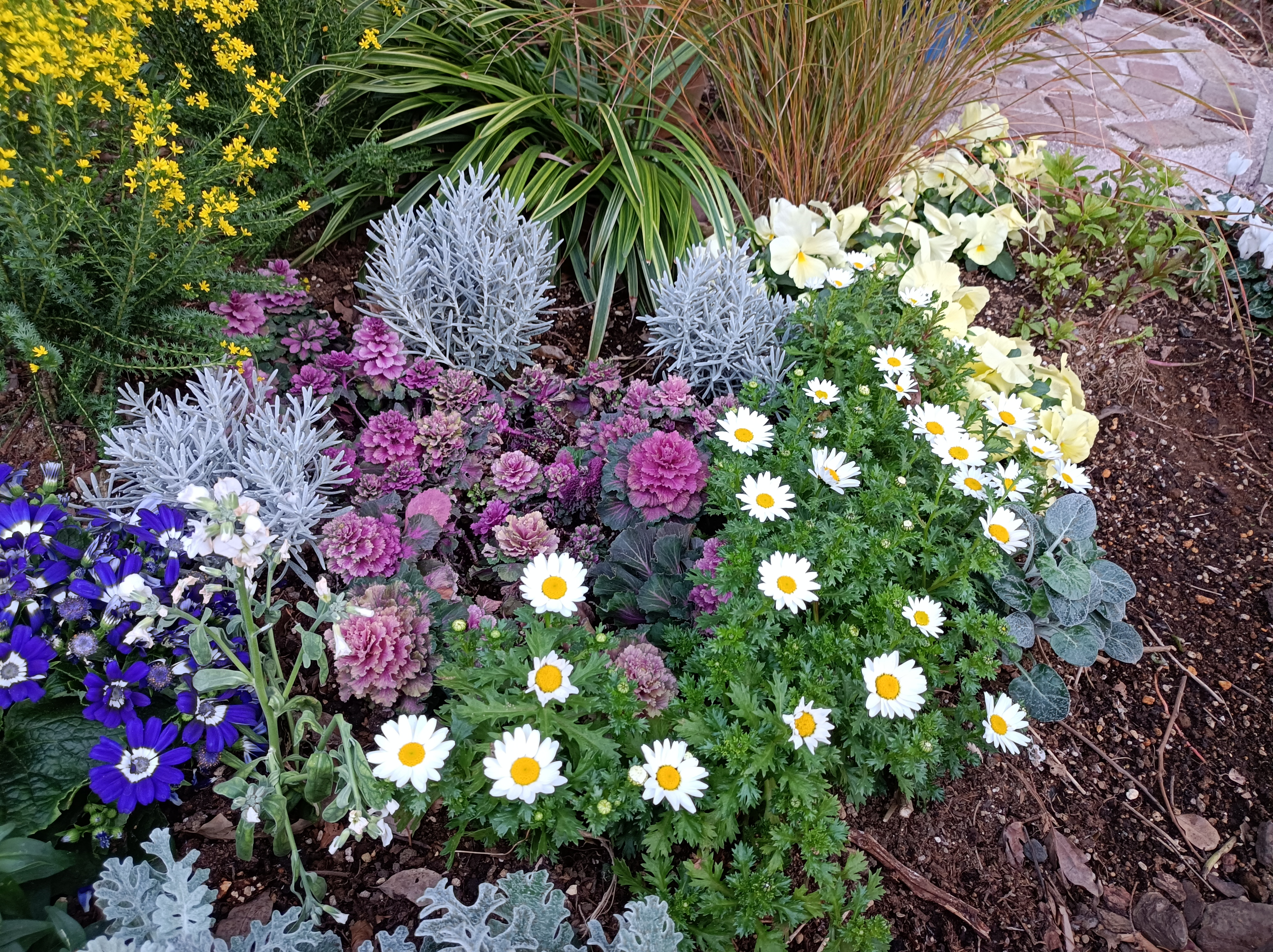 標準モードで撮影