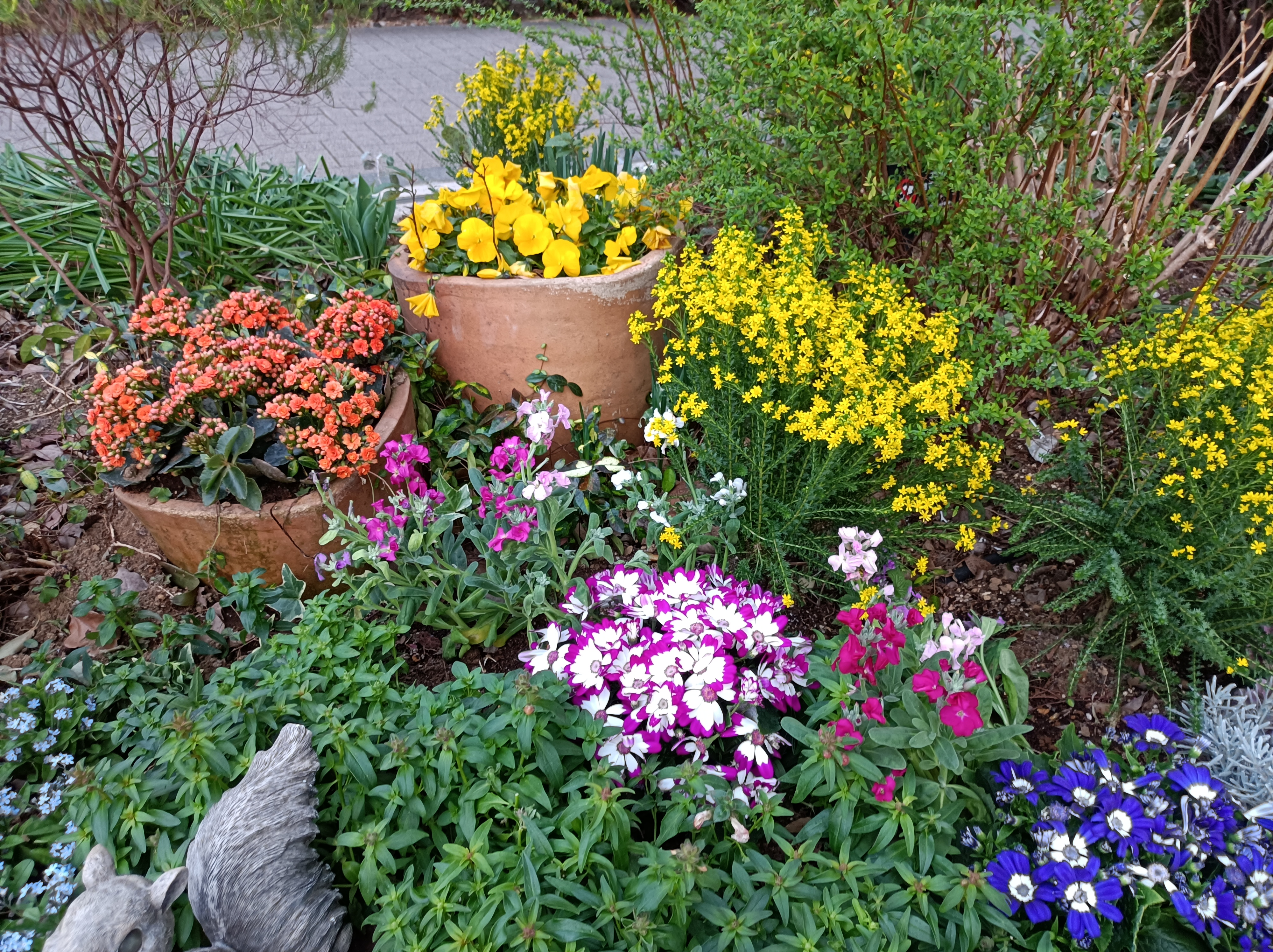 標準モードで撮影