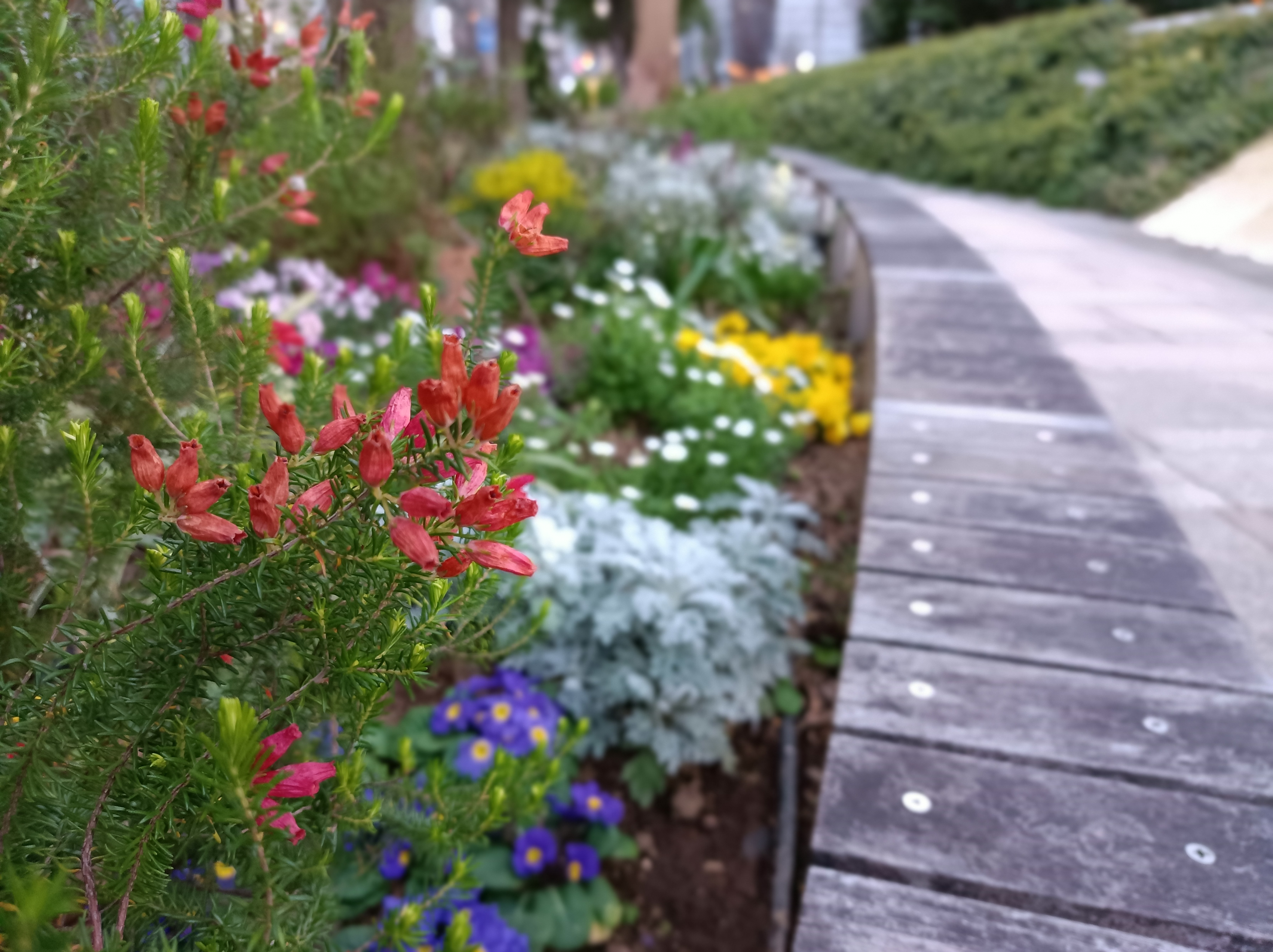 左から標準モード、標準モード、ポートレートモードで撮影