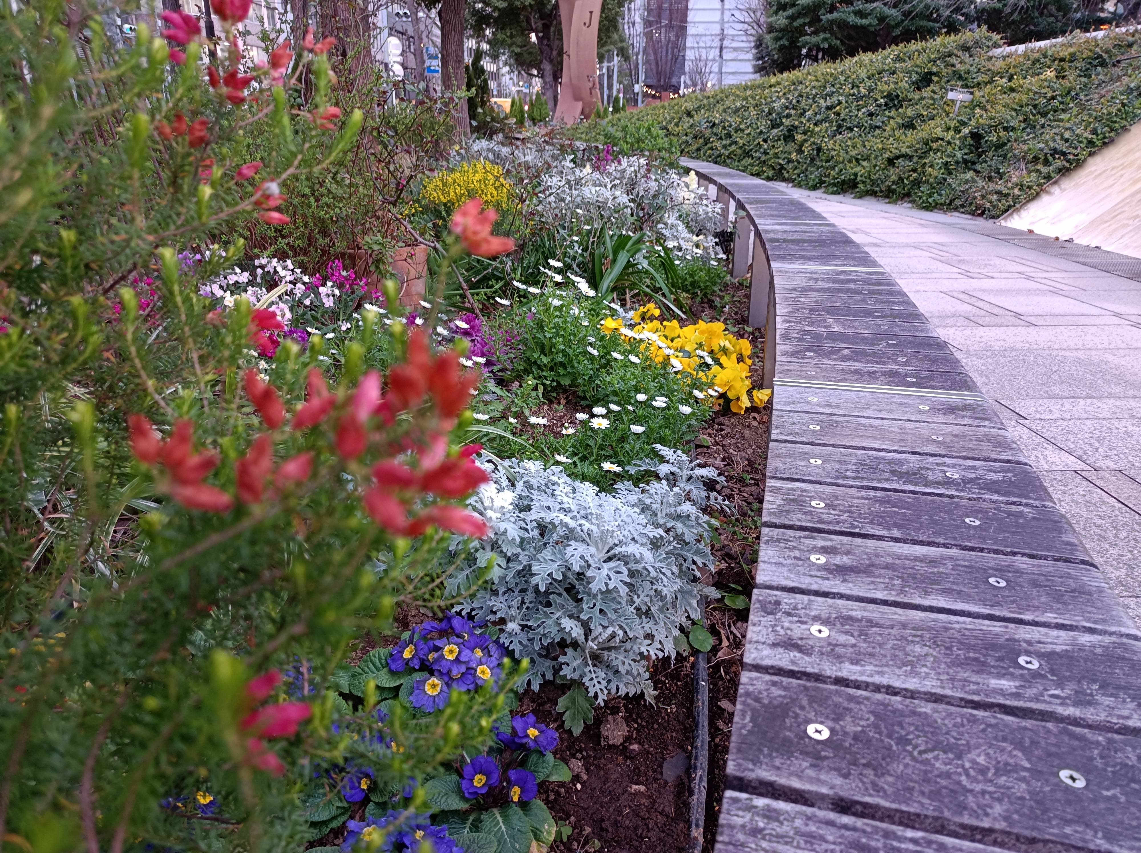 左から標準モード、標準モード、ポートレートモードで撮影