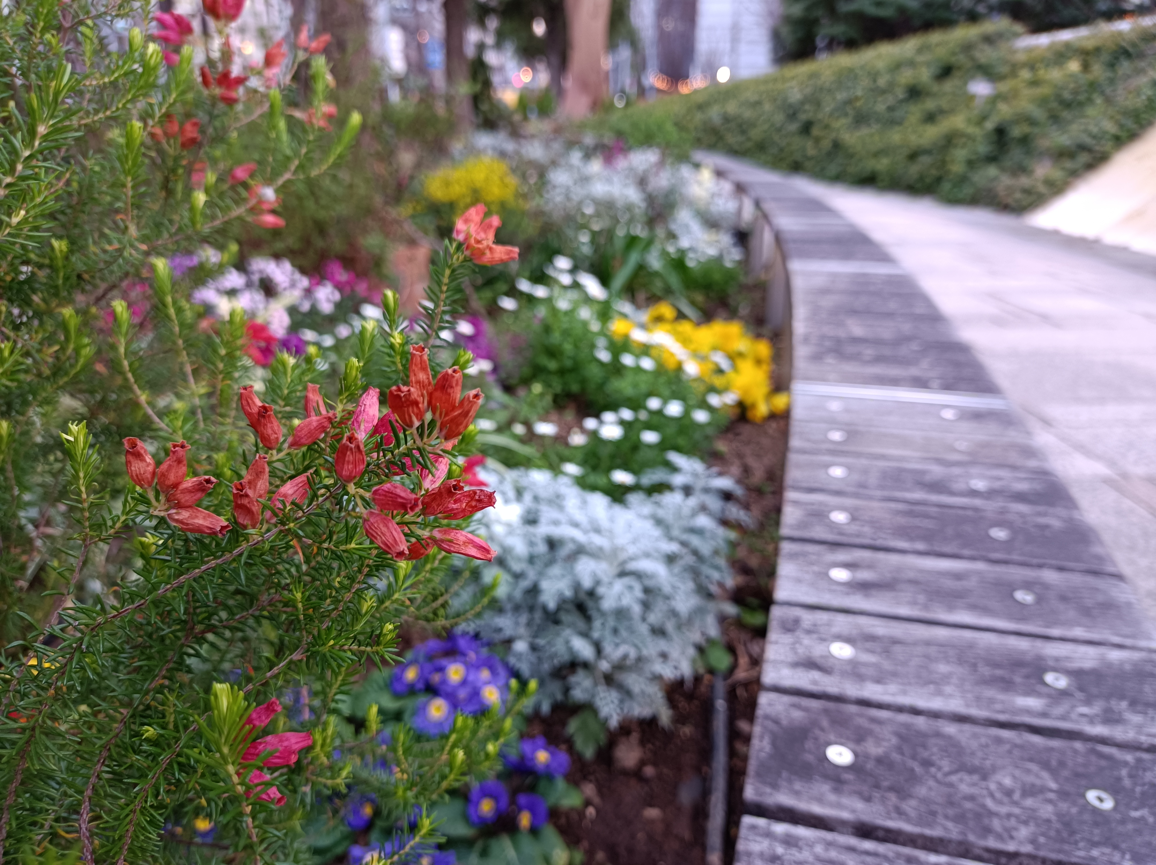 左から標準モード、標準モード、ポートレートモードで撮影