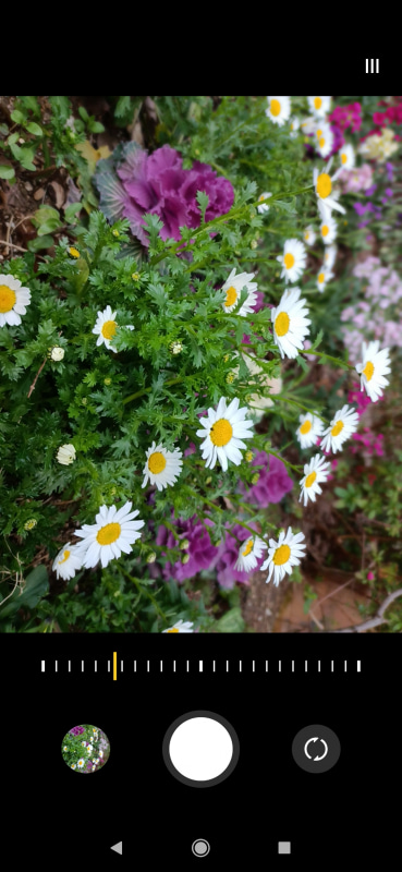 ポートレートはf値の調整もできる