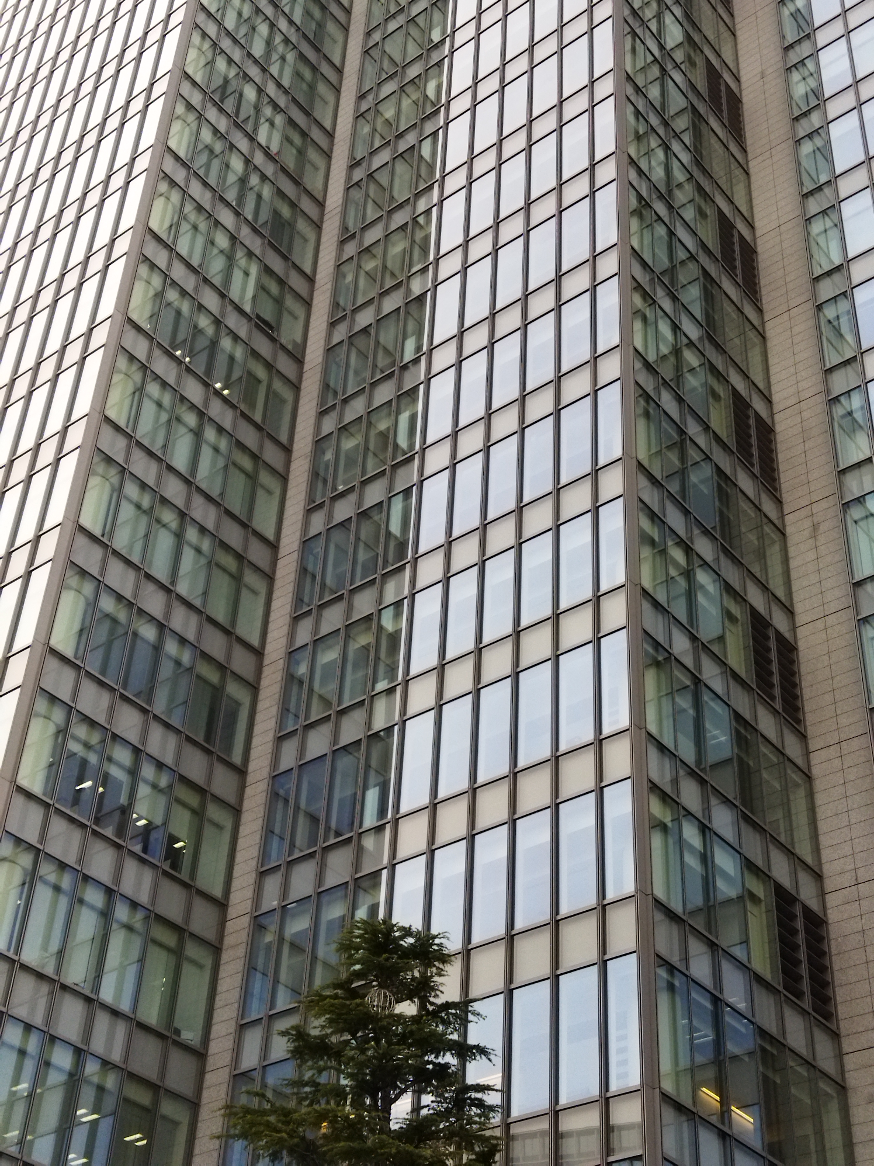 メインカメラで撮影