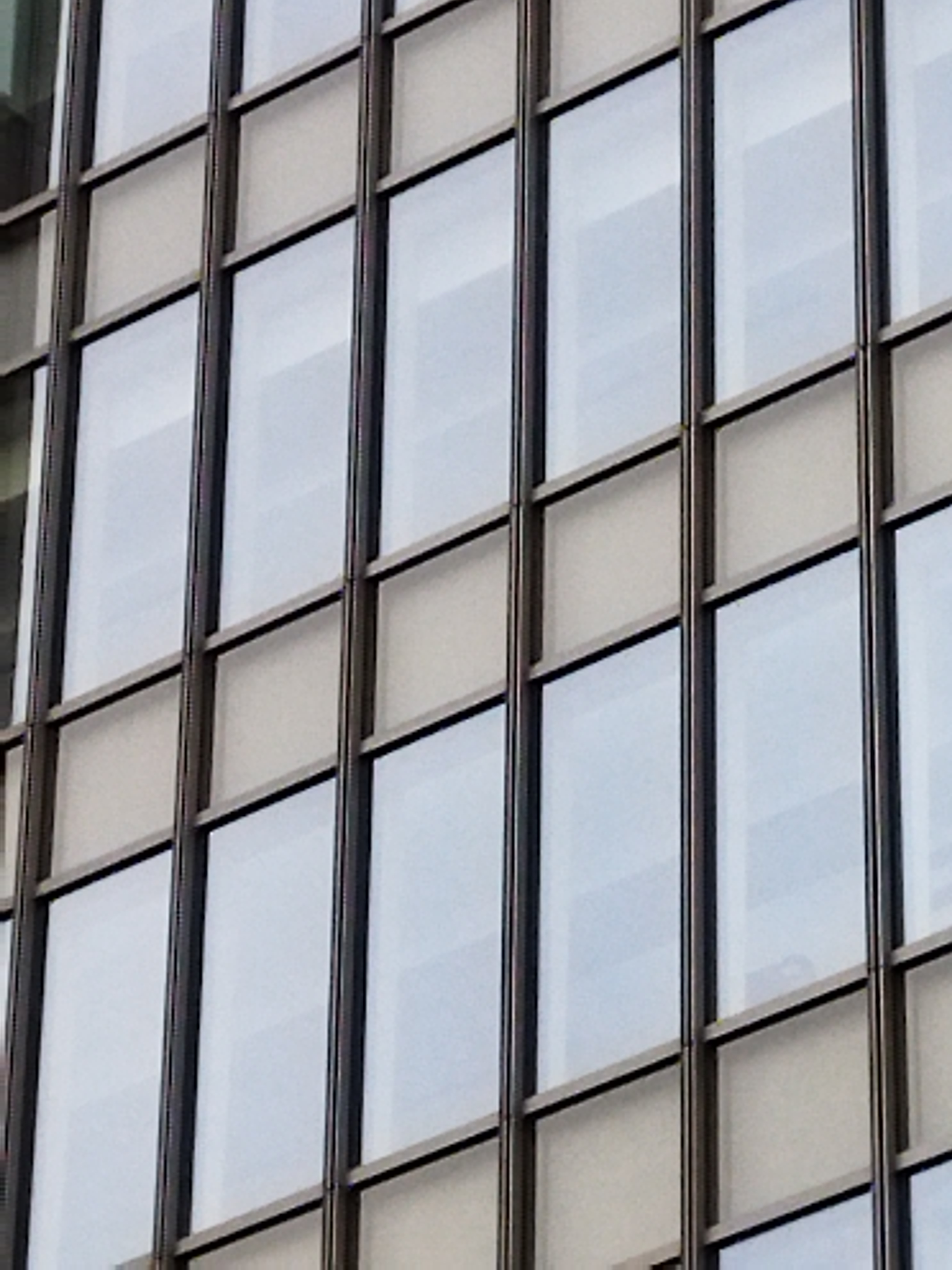 最大倍率で撮影