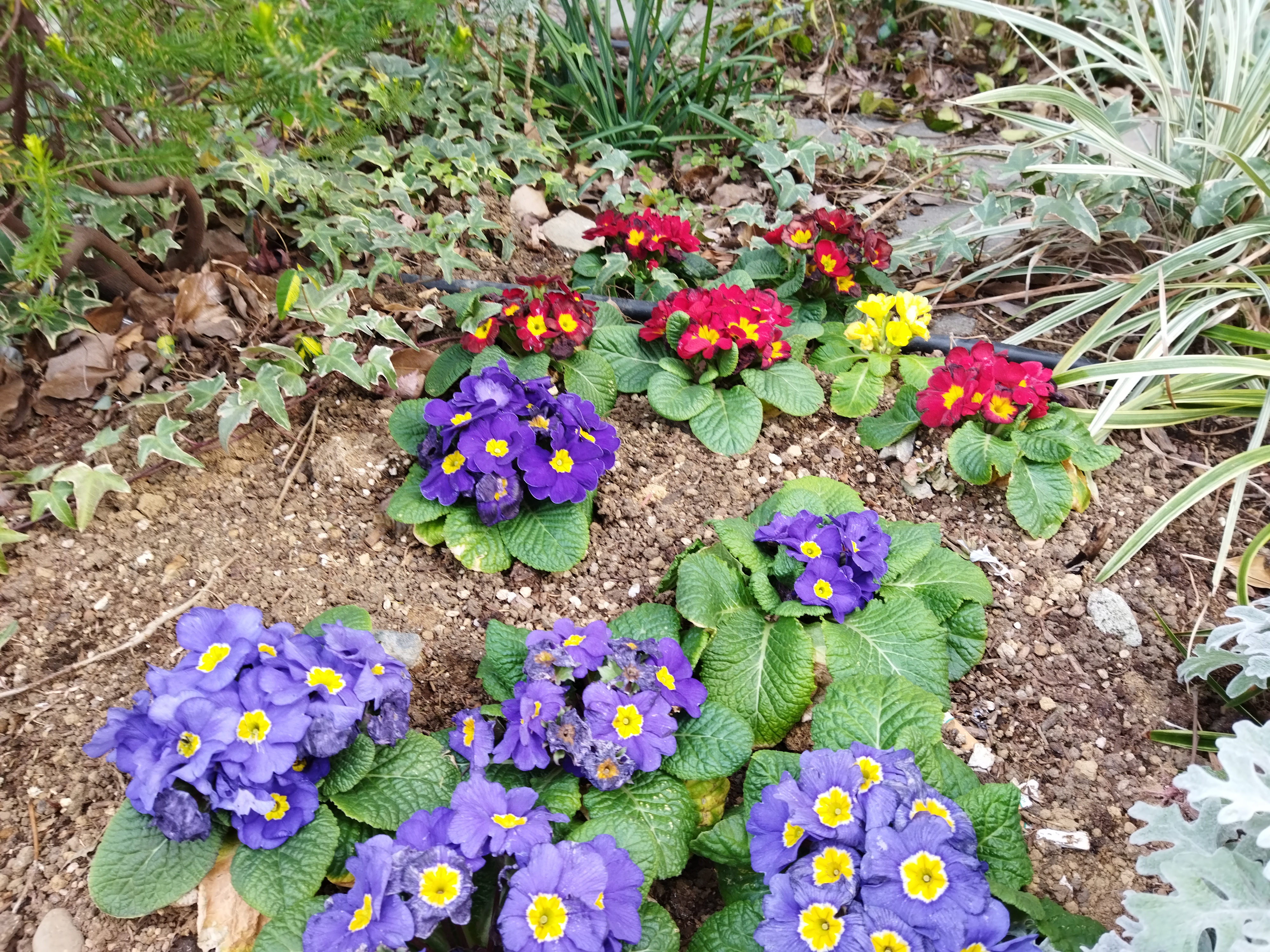 48MPモードで撮影