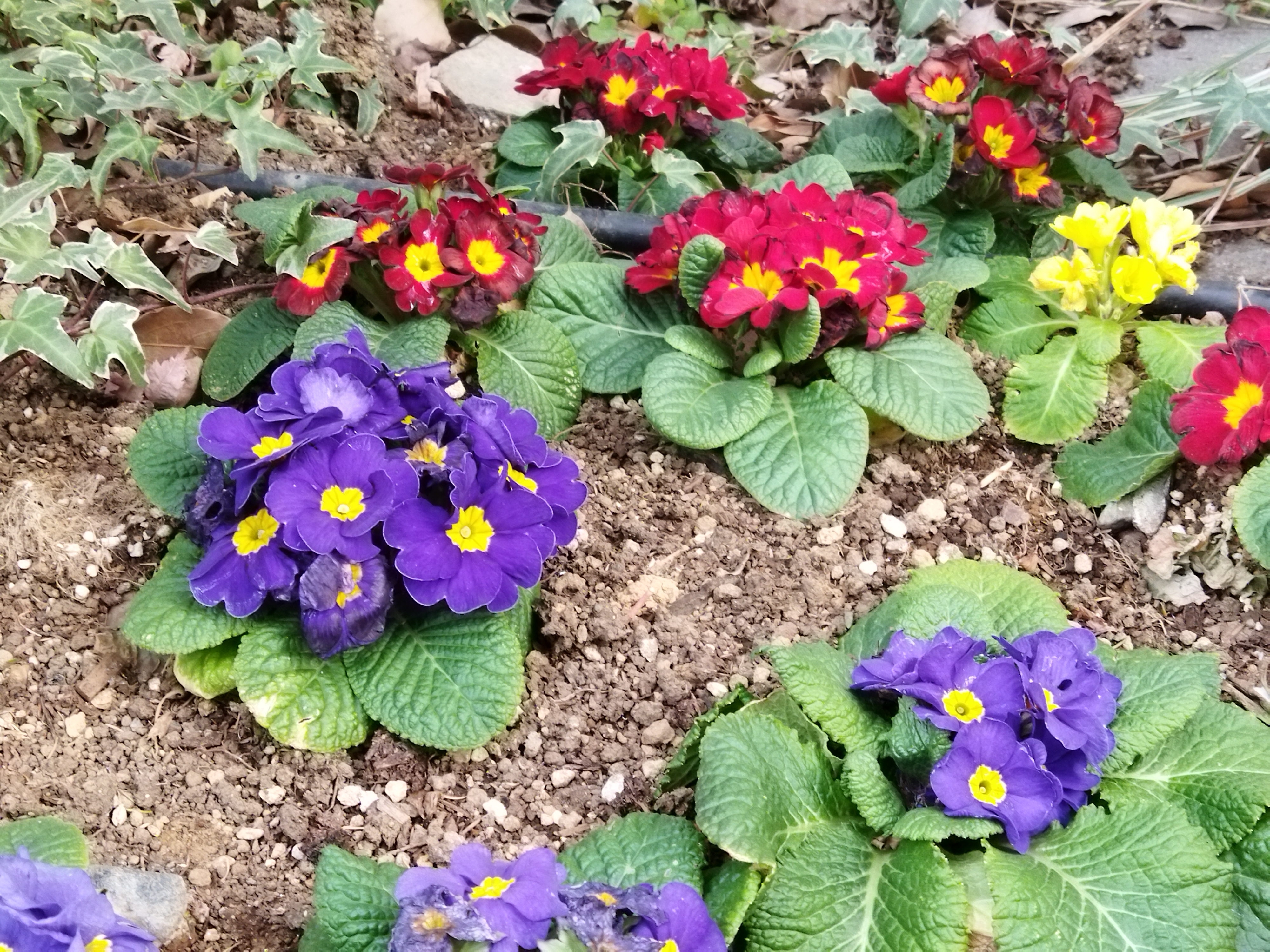 48MPモードで撮影