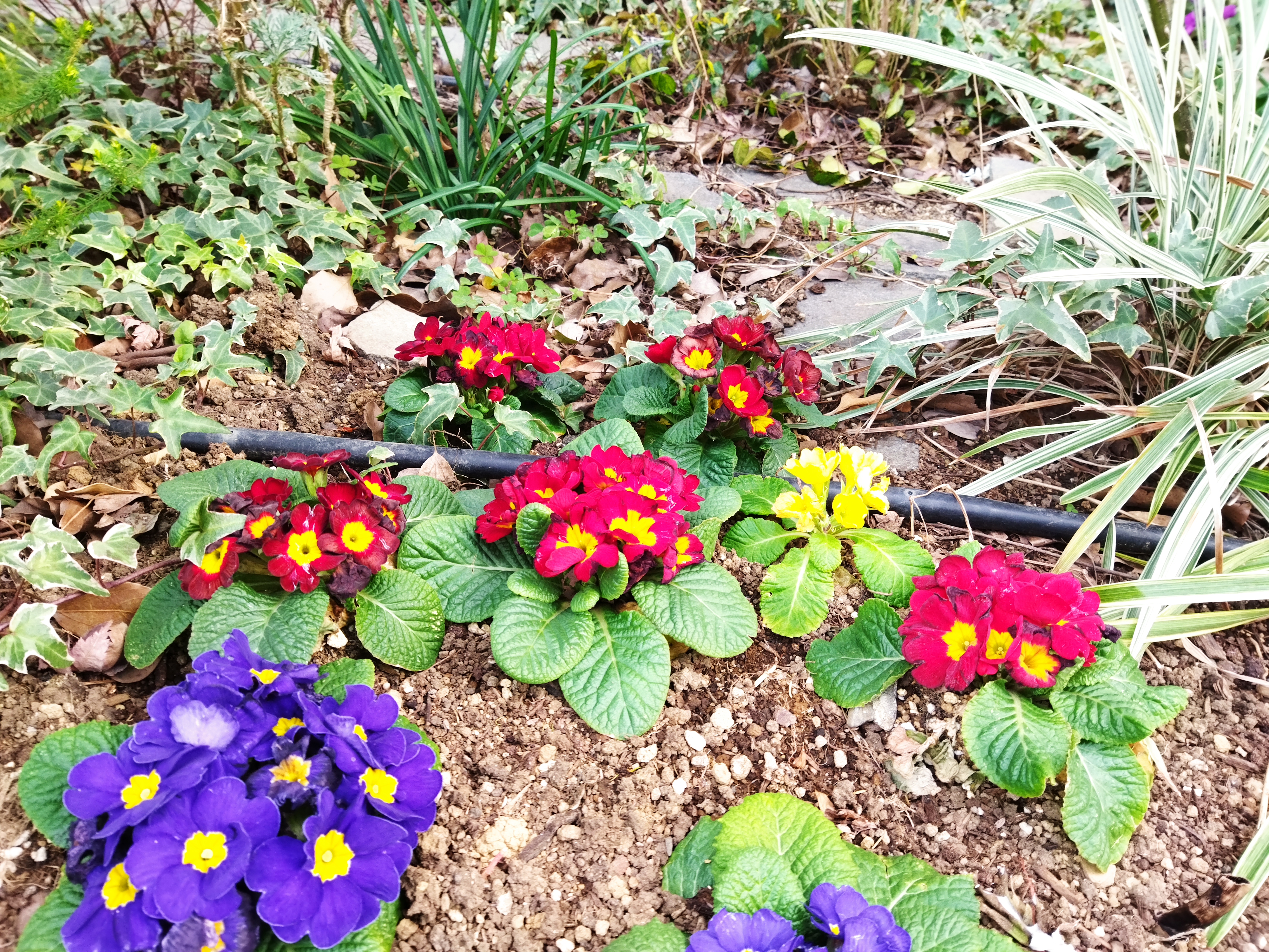 48MPモードで撮影