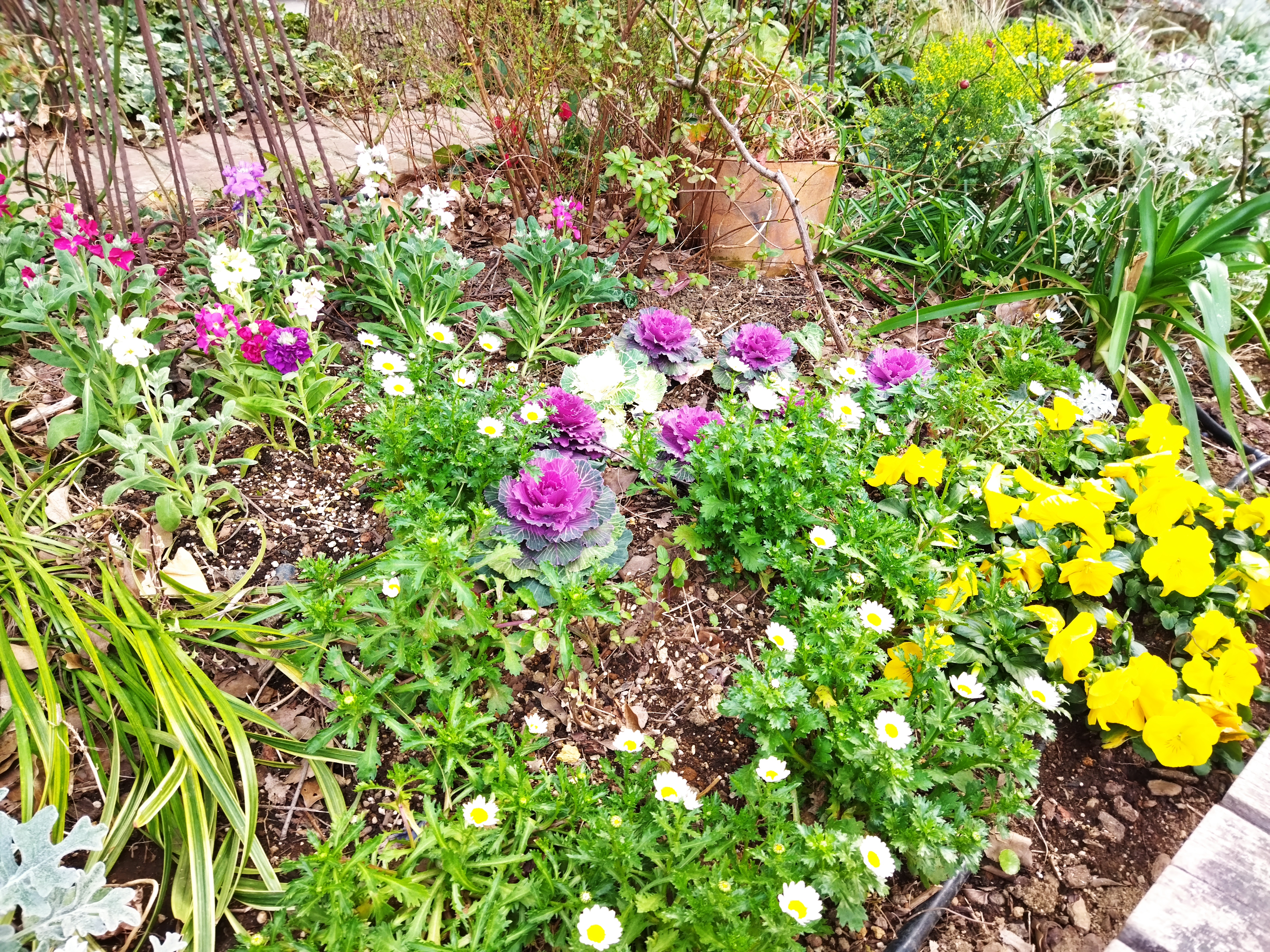 48MPモードで撮影