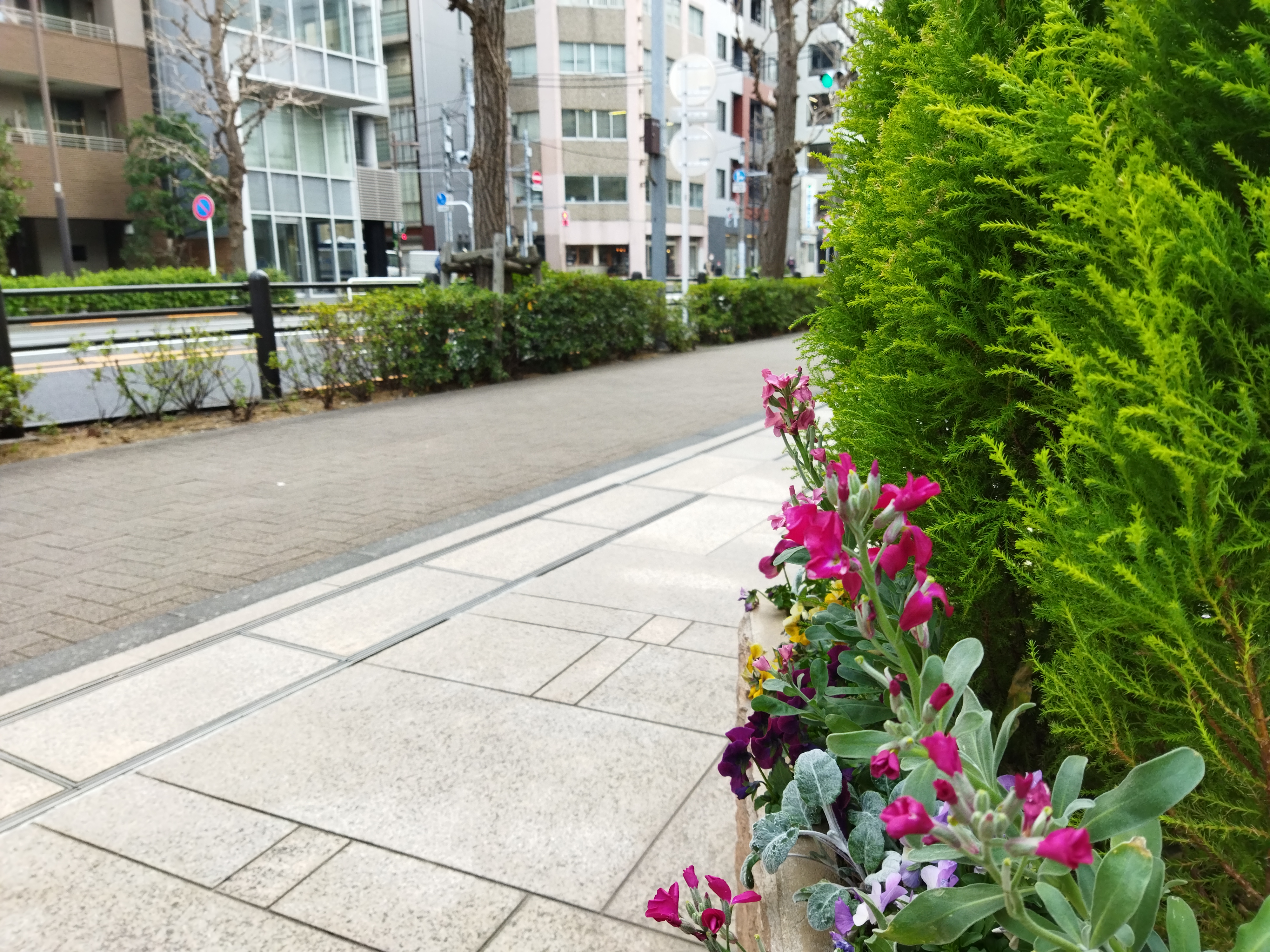 48MPモードで撮影