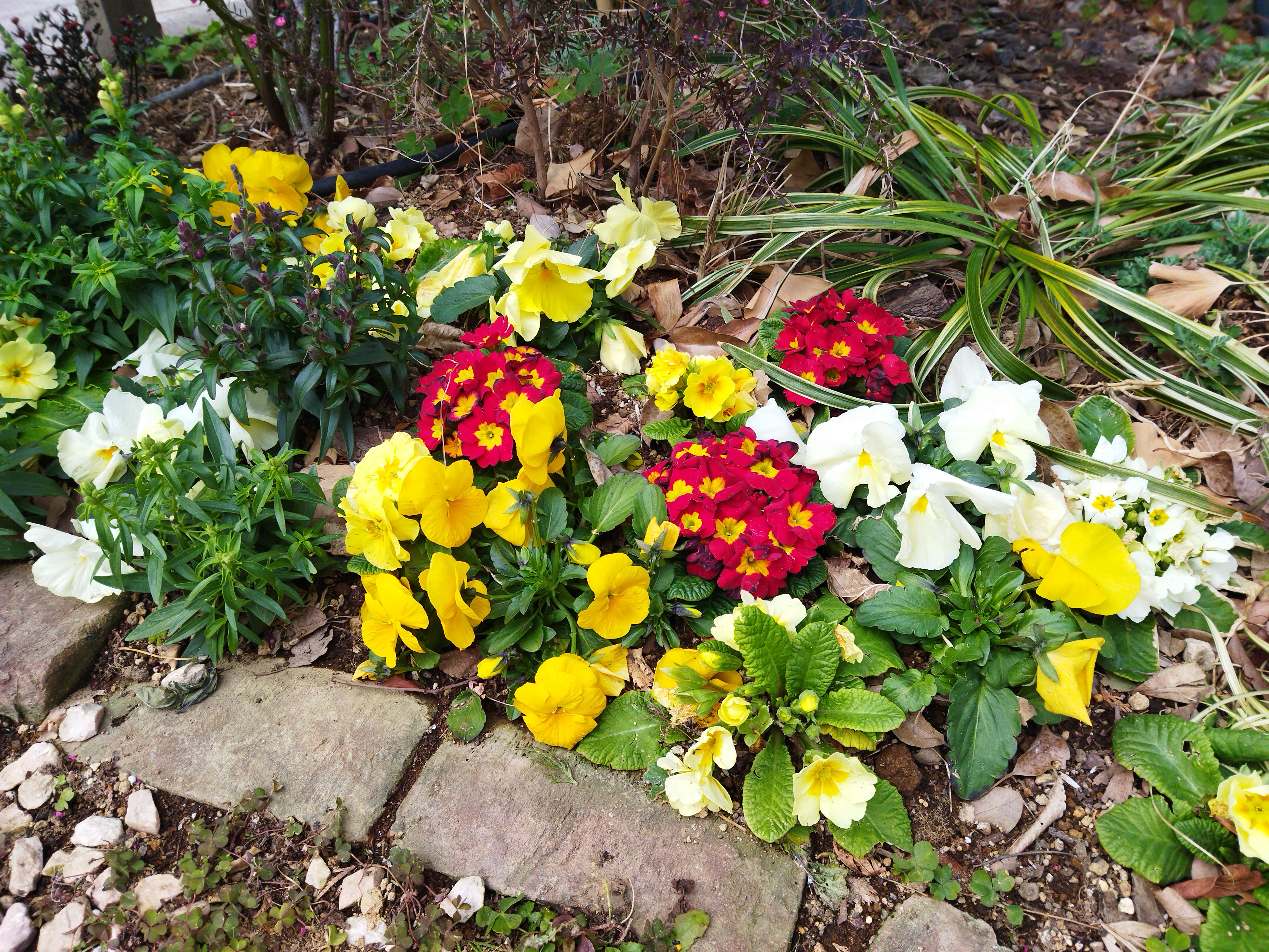 48MPモードで撮影