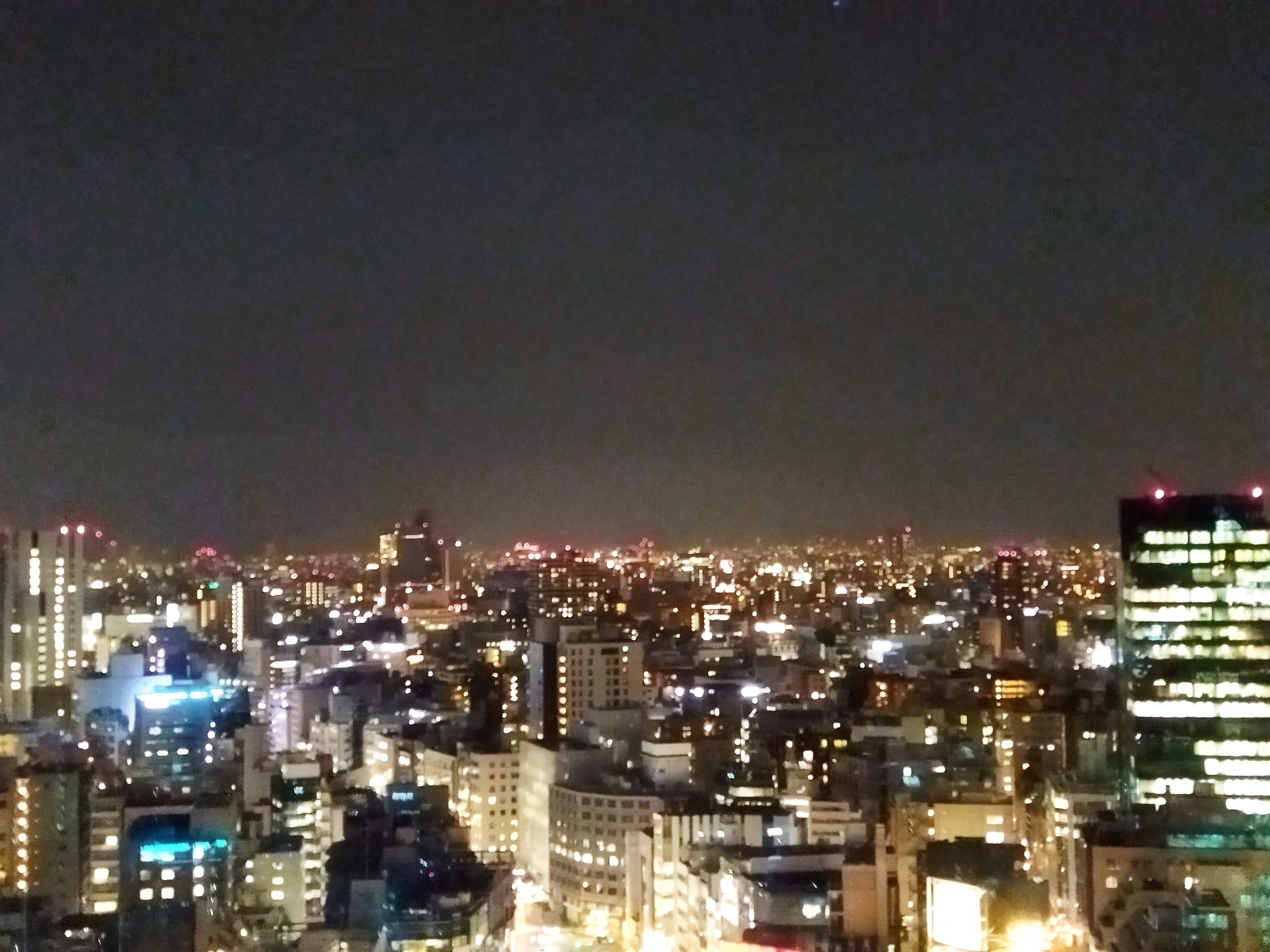 ズームを効かせたところ