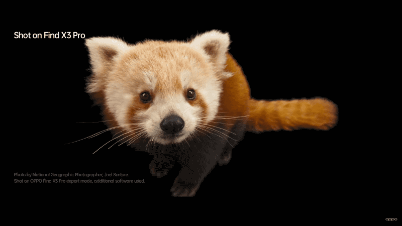 プロの写真家による作例。Find X3 Proのエキスパートモードで撮影し、ソフトウェアで加工済とのこと