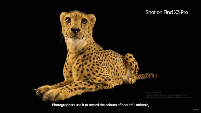 こちらもプロの写真家による作例。Find X3 Proのエキスパートモードで撮影し、ソフトウェアで加工済み