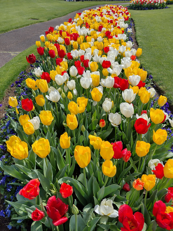 メインカメラ（標準）は色味や改造感の点で十分満足できる