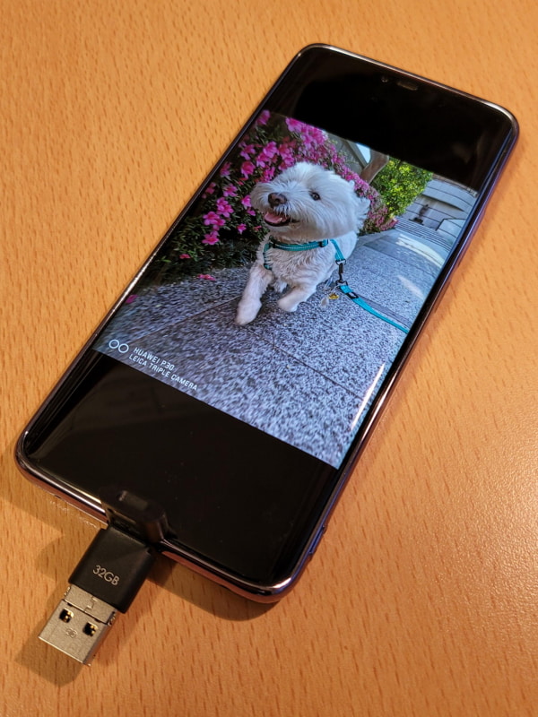 多くのユーザーの場合、写真データは最大の容量で、転送したいデータの代表だ